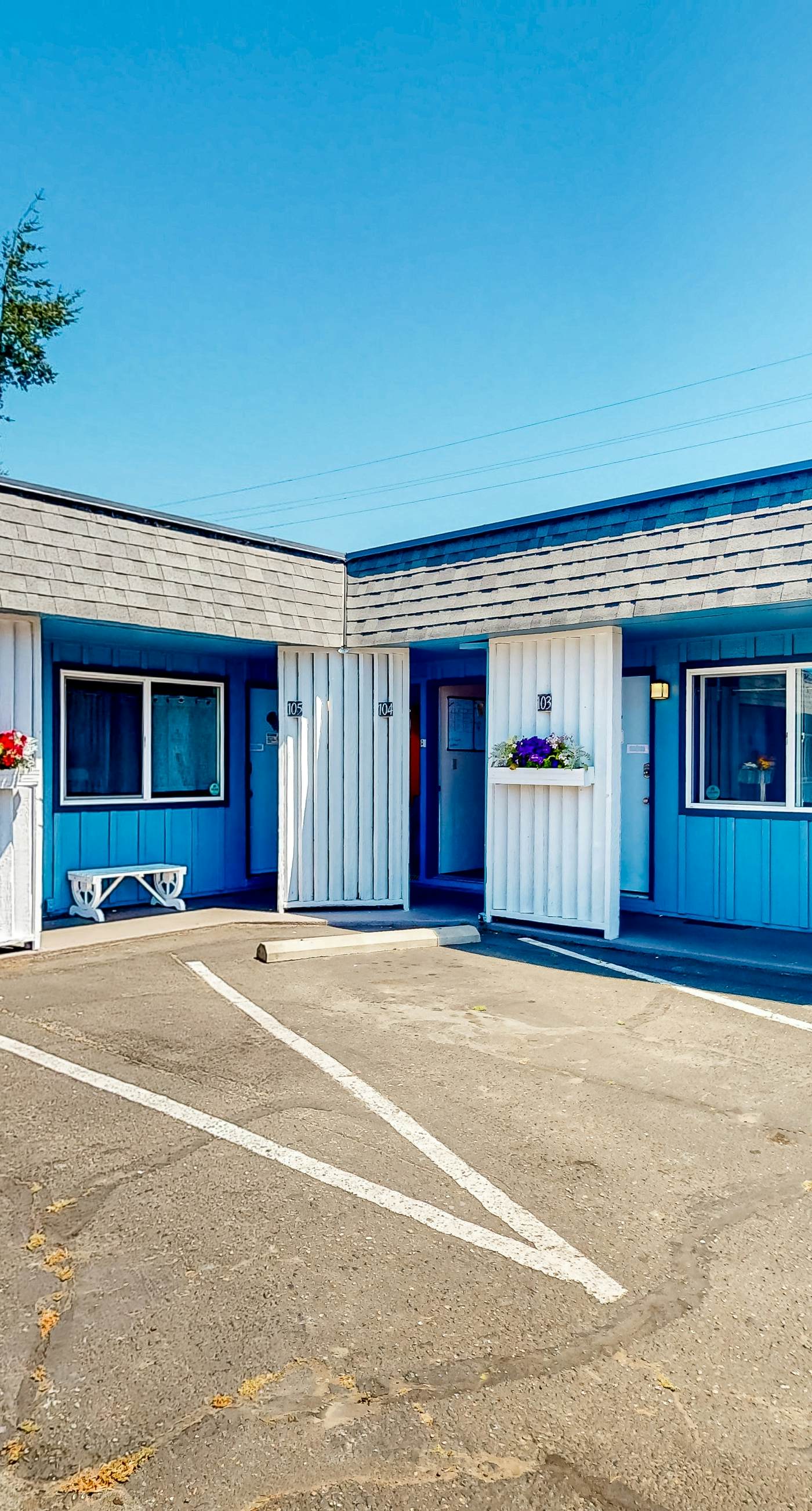 Lamplighter Inn - 117 Whale Watching