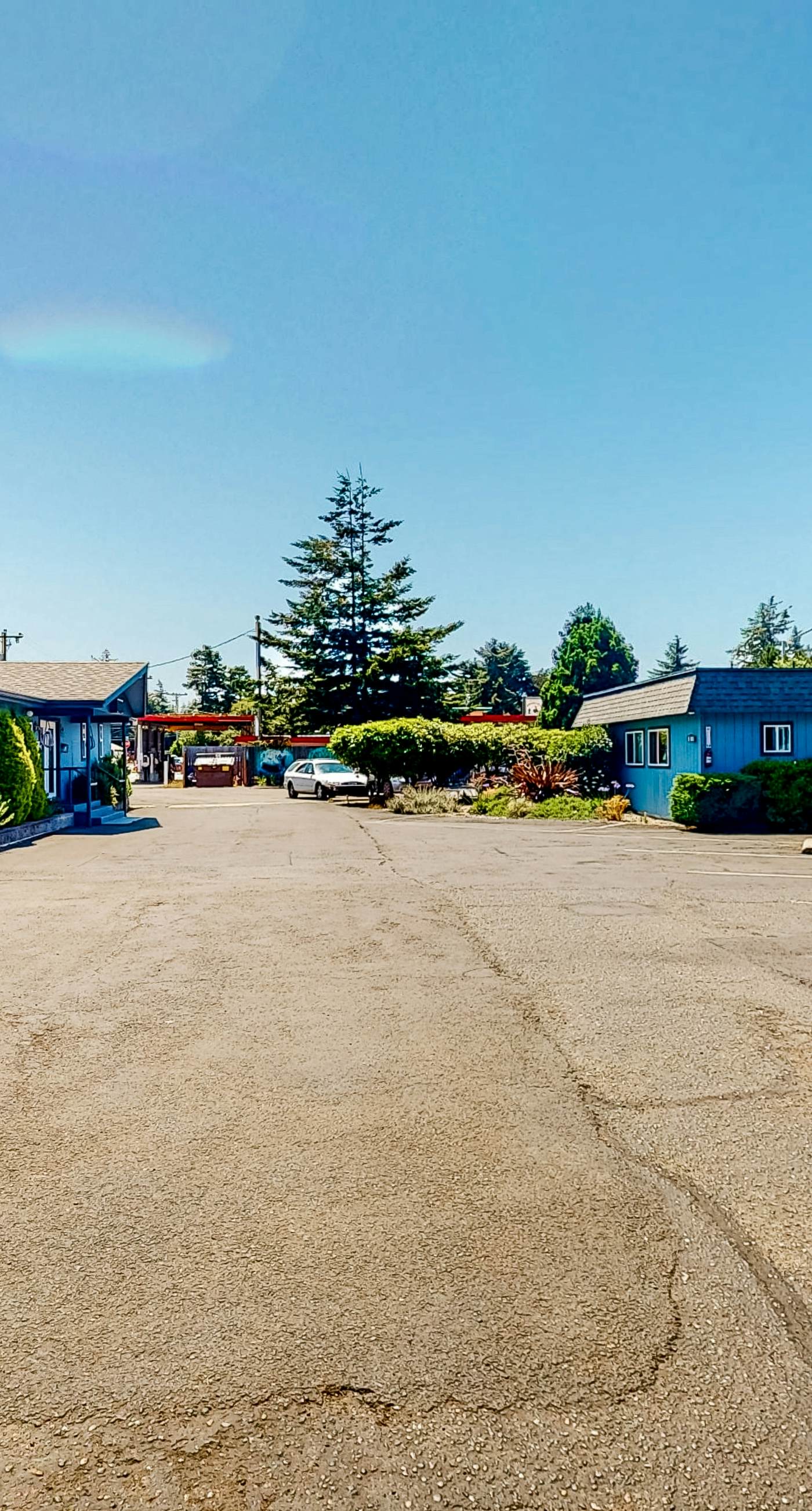 Lamplighter Inn - 117 Whale Watching