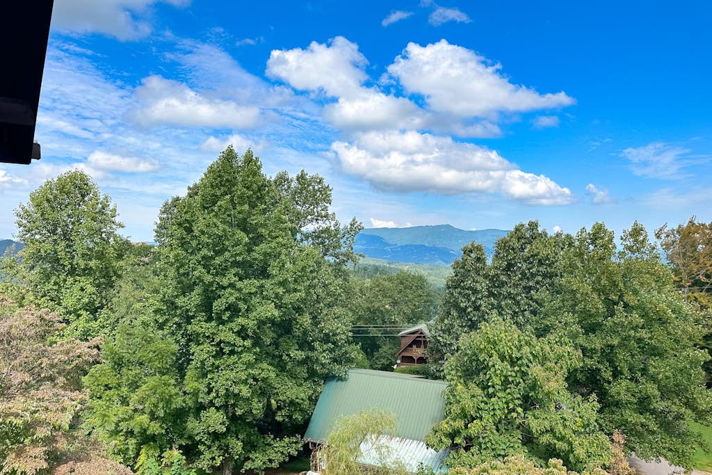 View 6