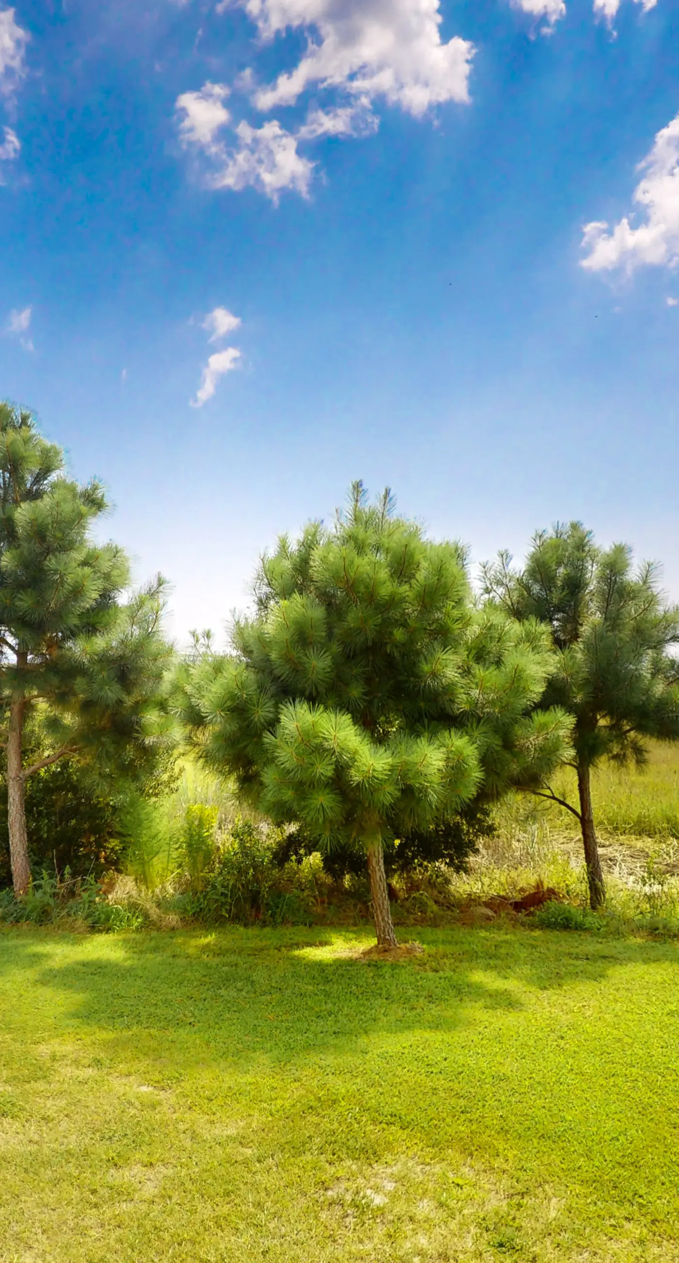 Assateague Pointe - Bay View Beauty