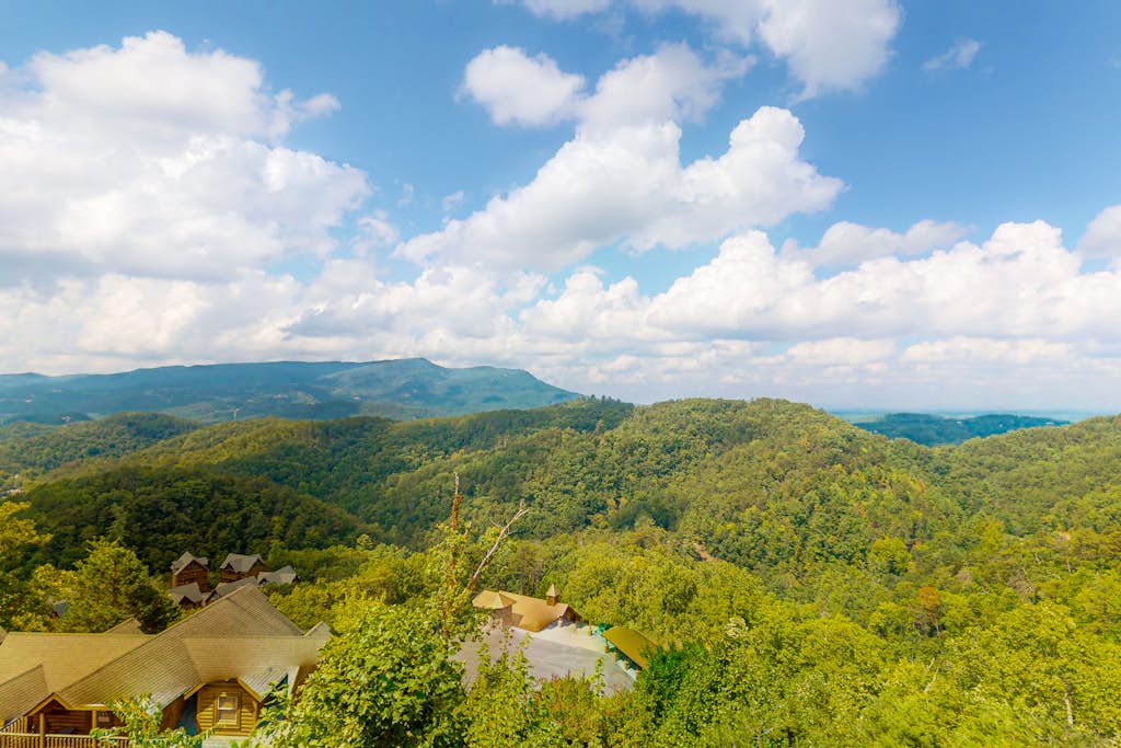 View 6