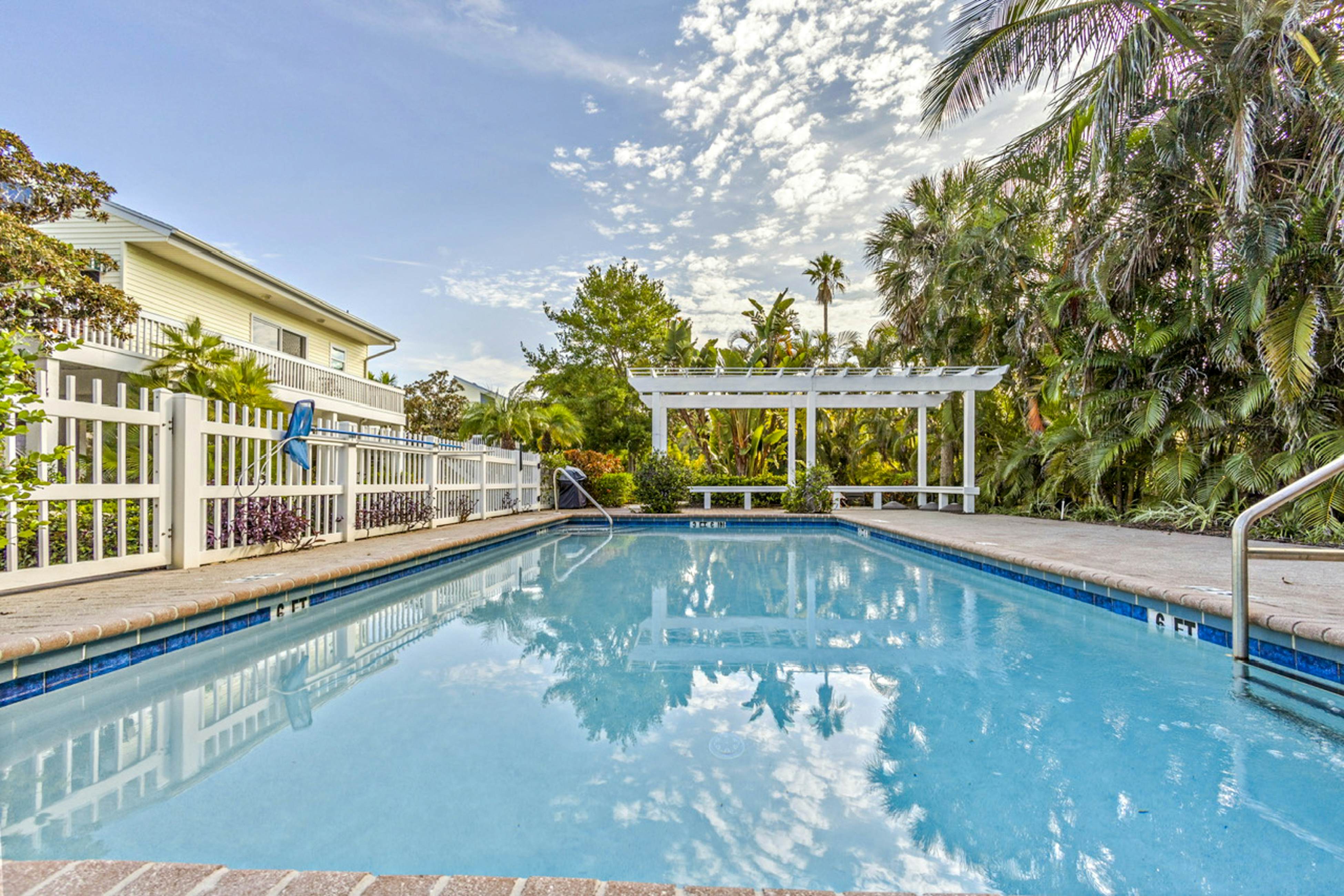 Freesia at Seaside Gardens