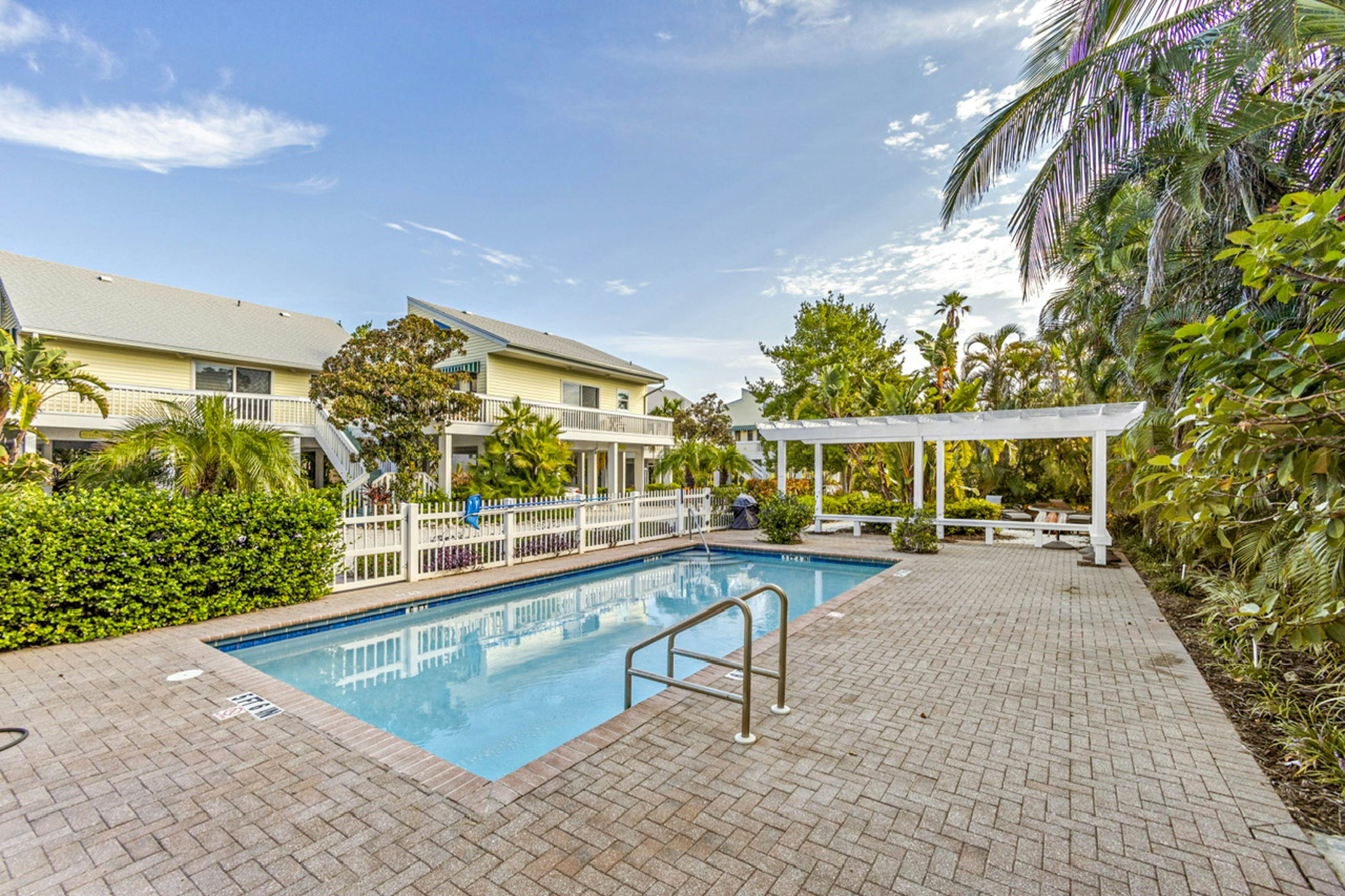 Freesia at Seaside Gardens