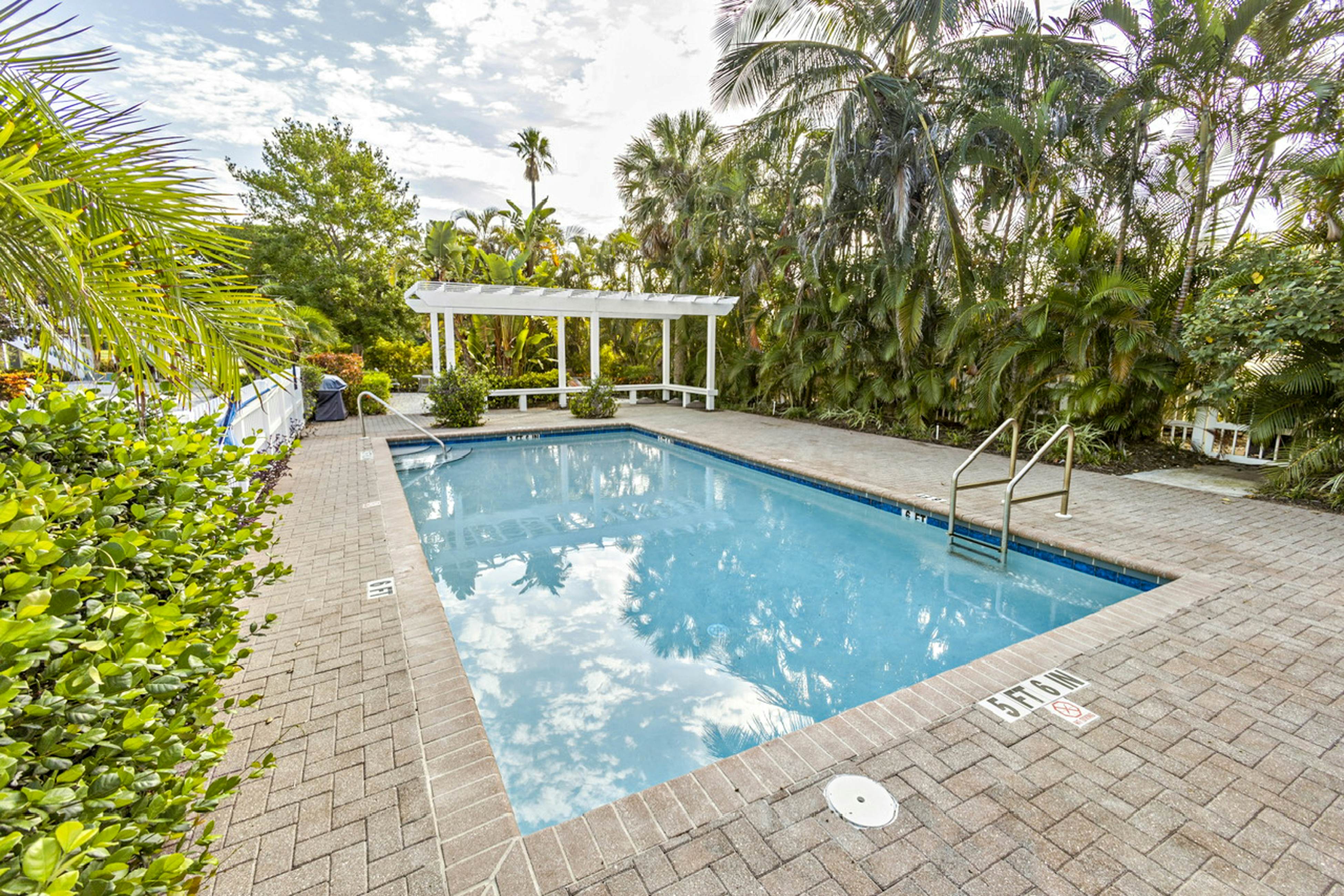 Freesia at Seaside Gardens