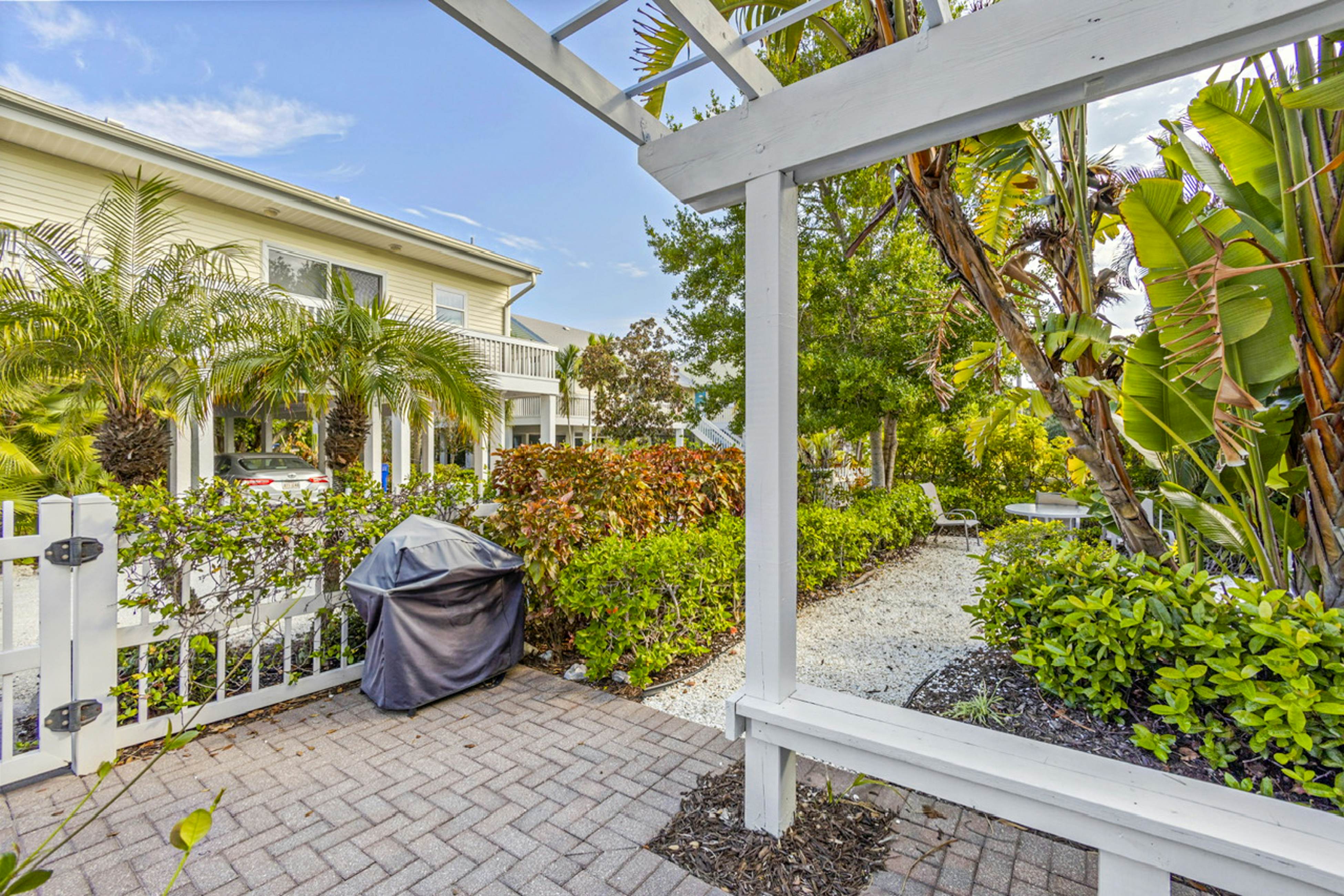 Freesia at Seaside Gardens