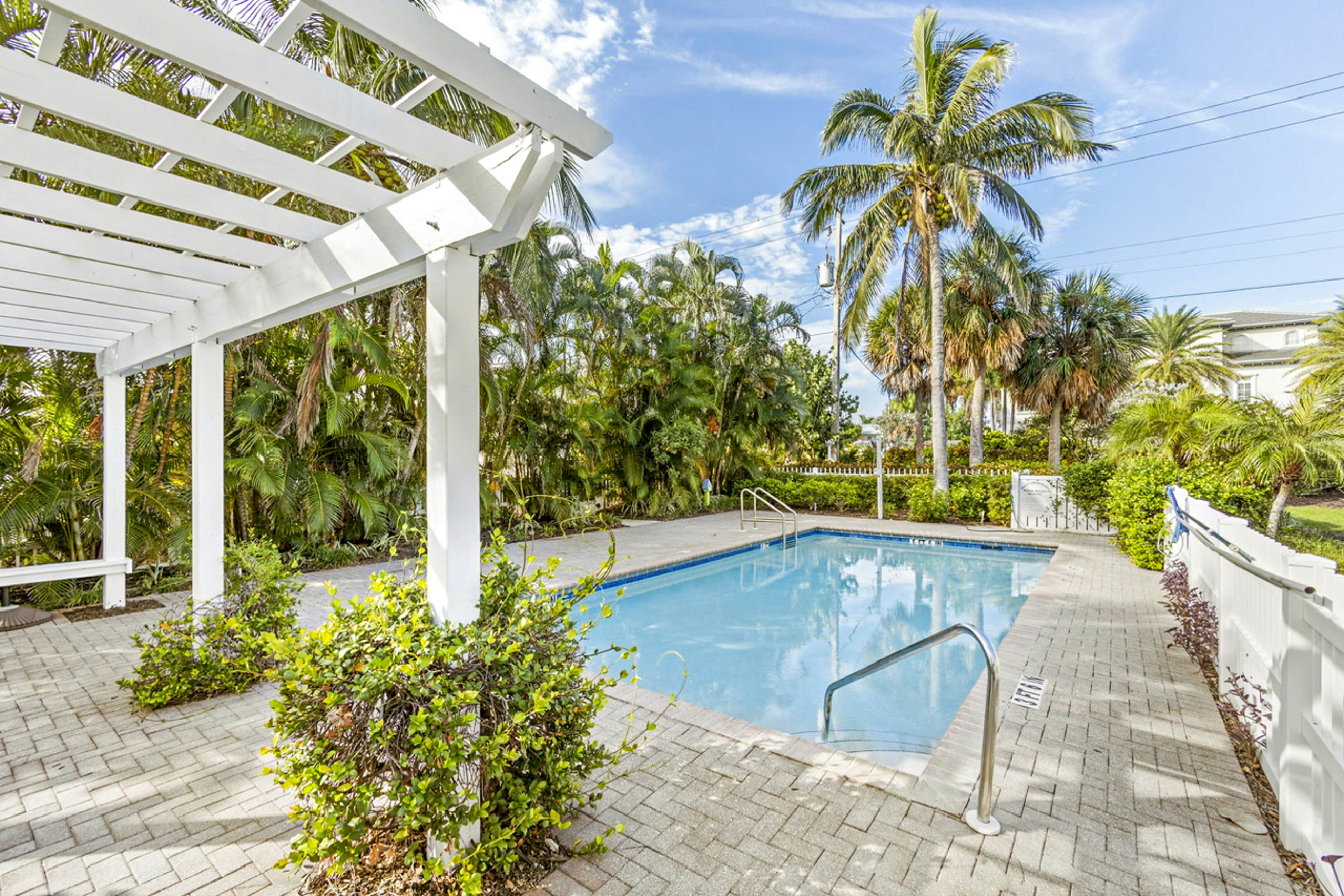 Freesia at Seaside Gardens