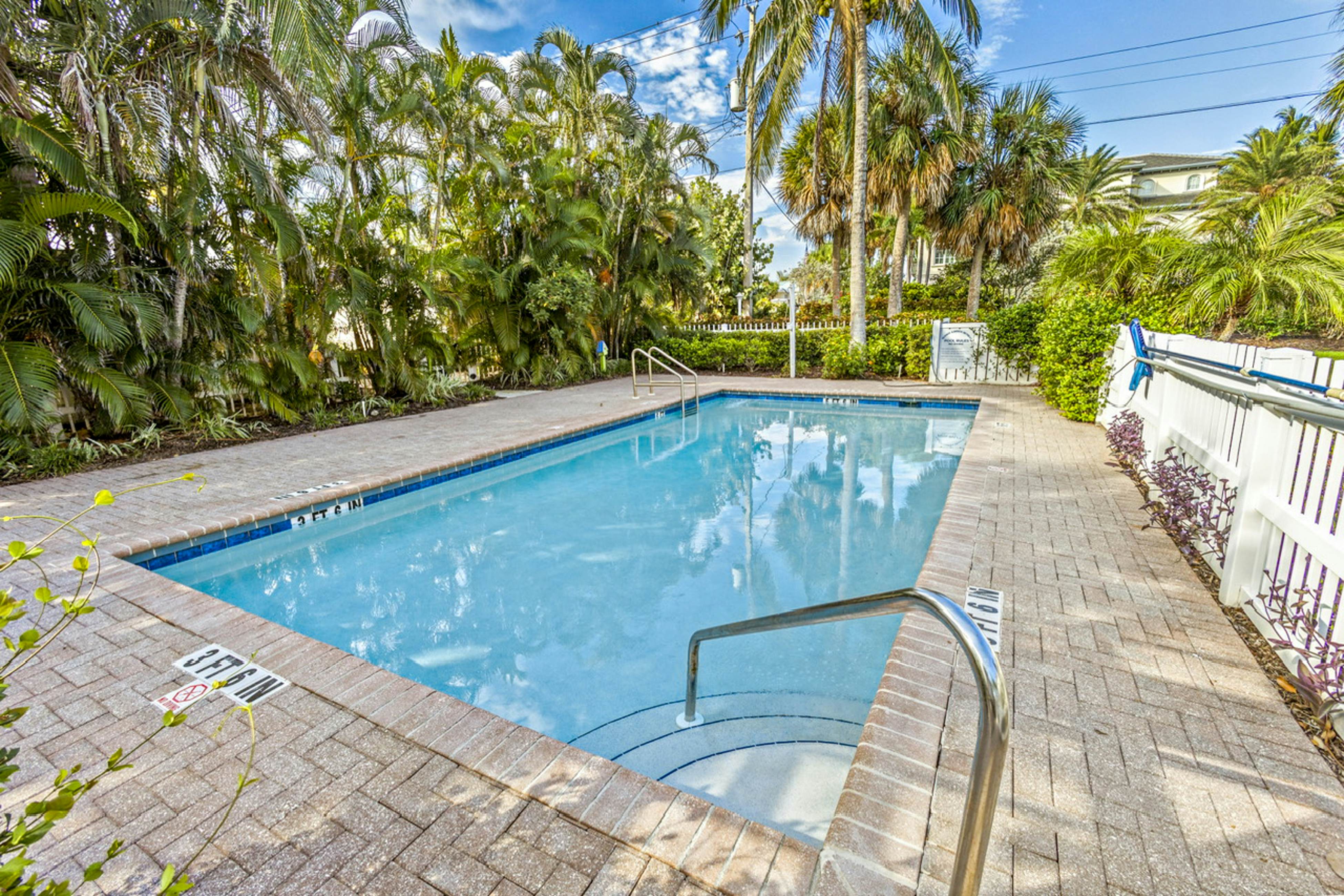 Freesia at Seaside Gardens