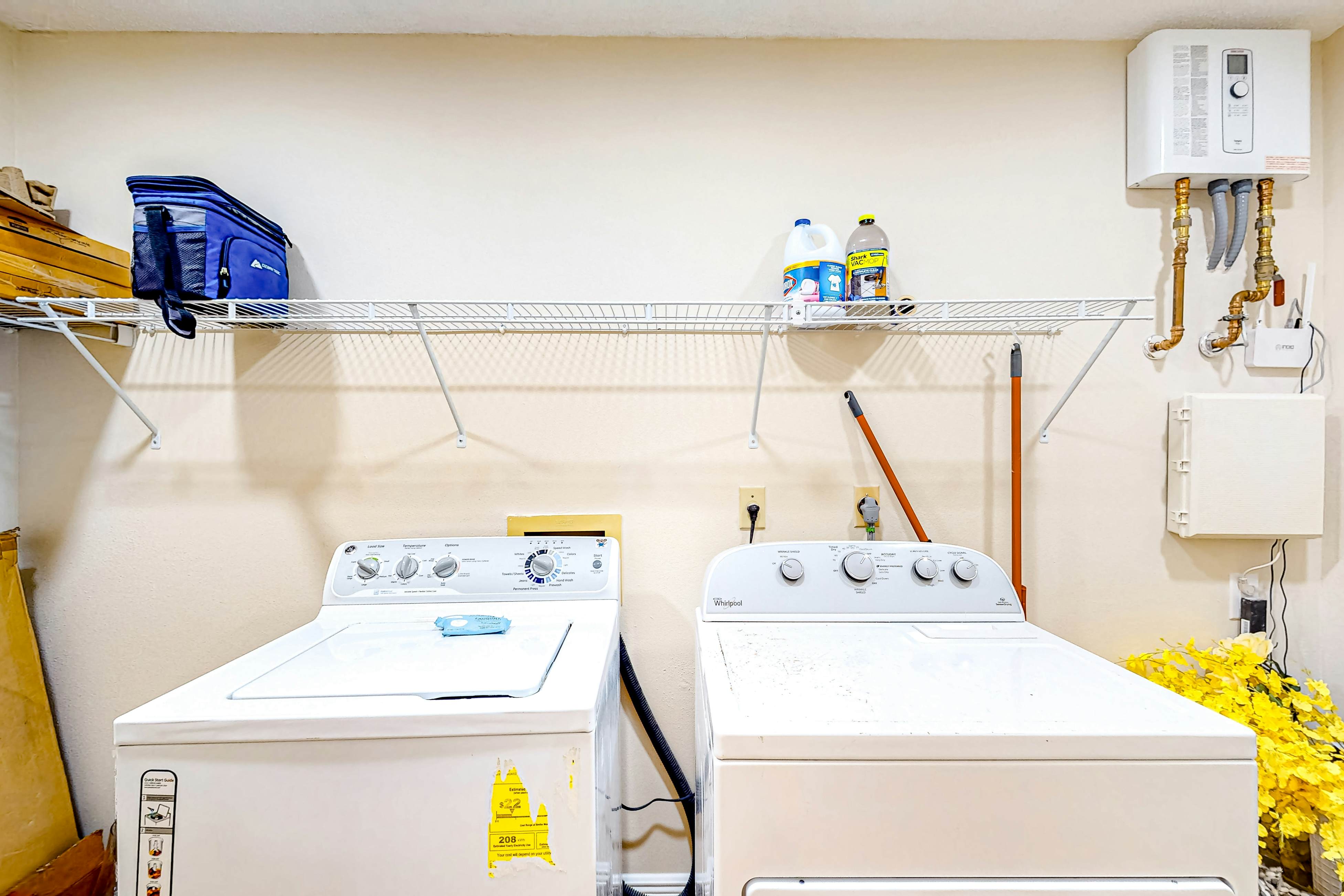 Freesia at Seaside Gardens