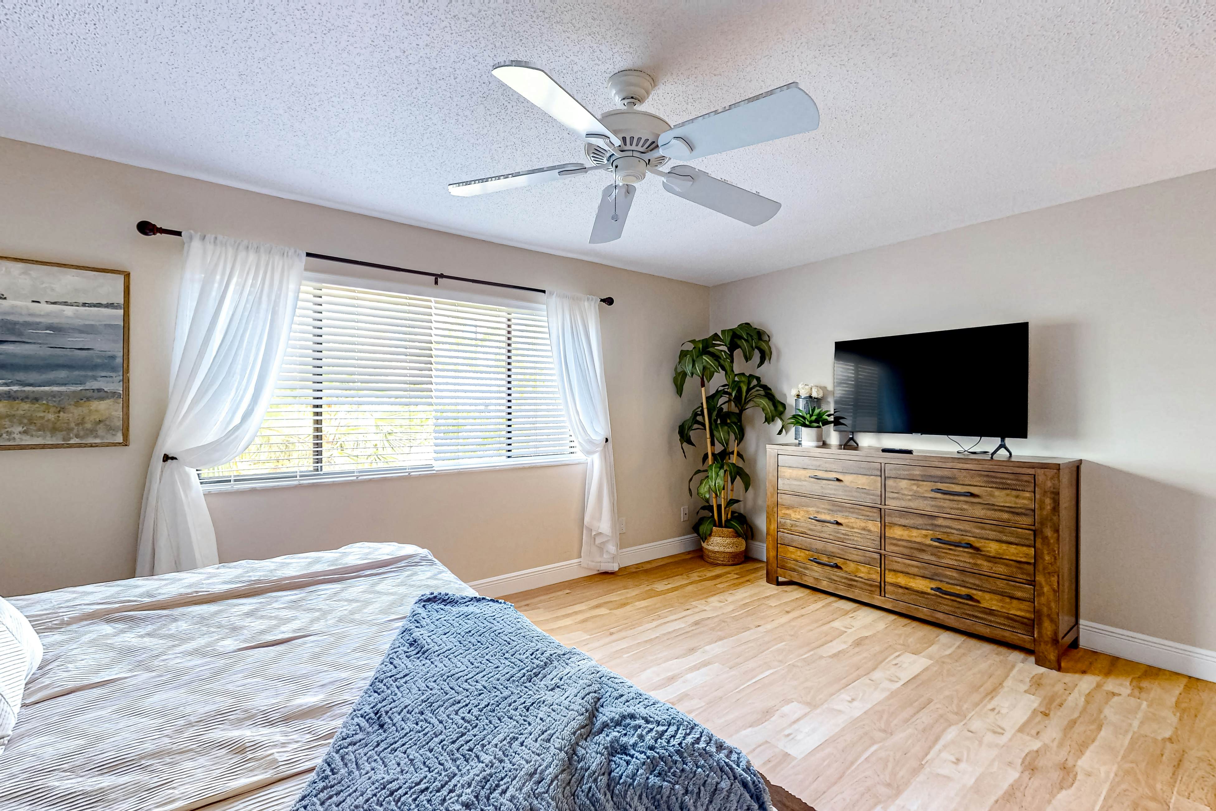 Freesia at Seaside Gardens