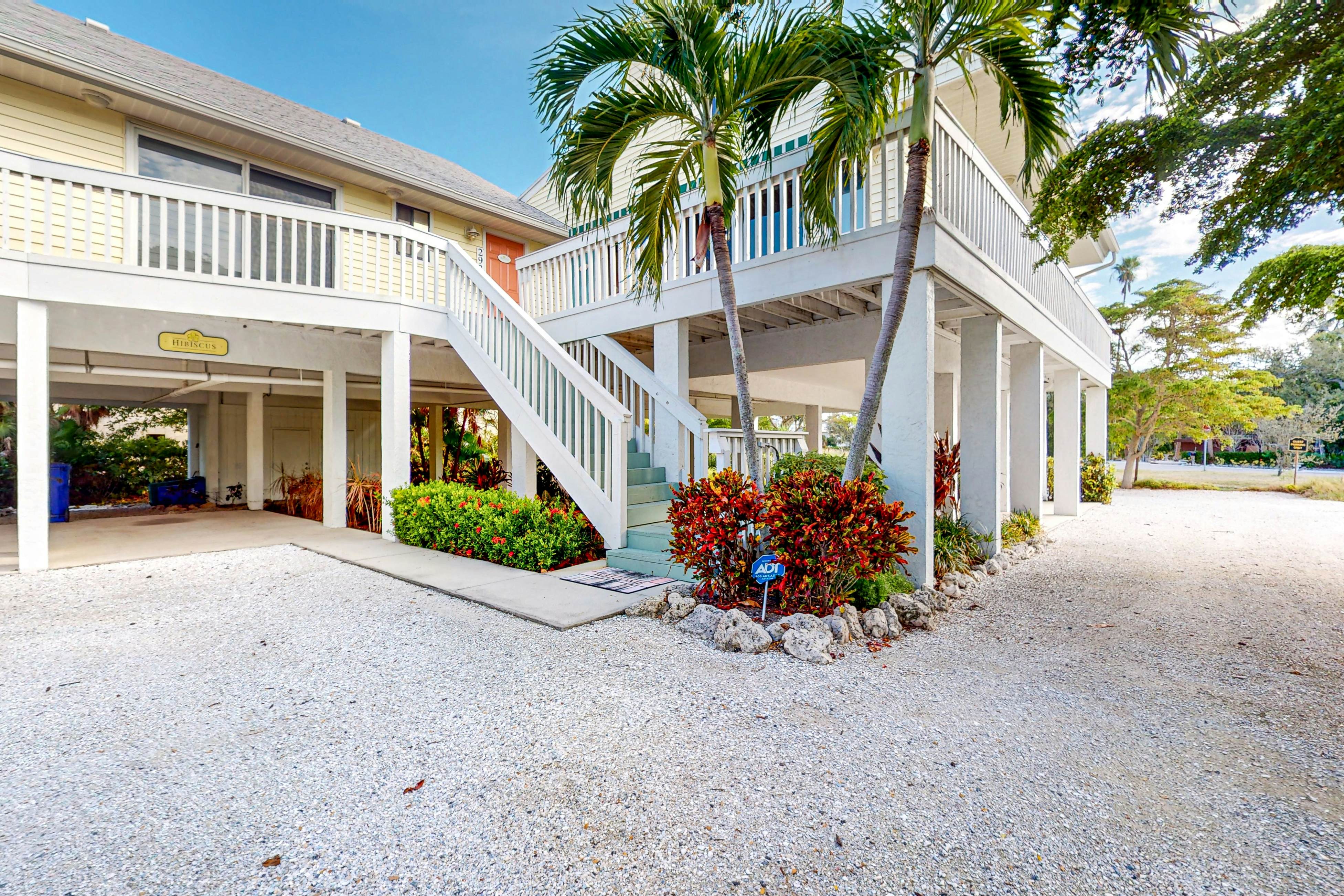Freesia at Seaside Gardens