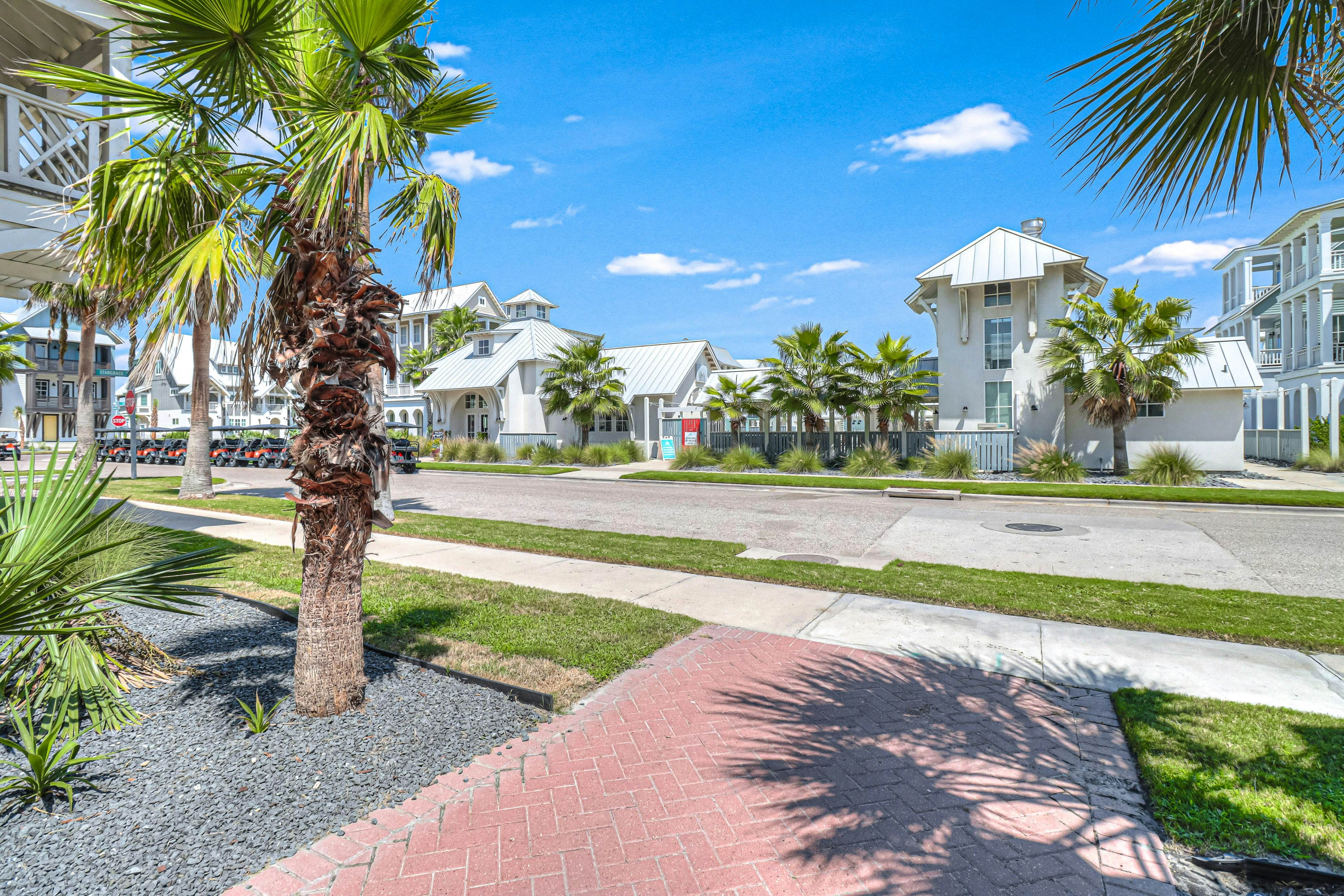 Beach Please at Palmilla Beach