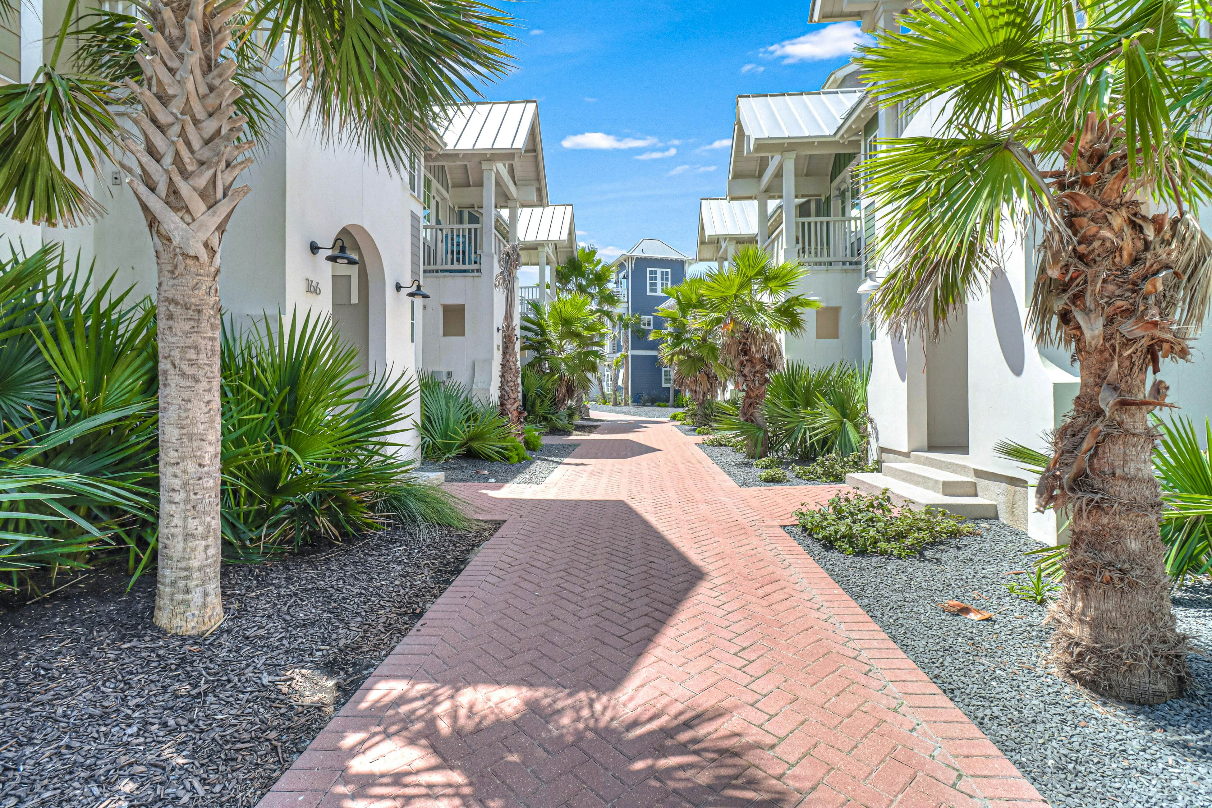 Beach Please at Palmilla Beach