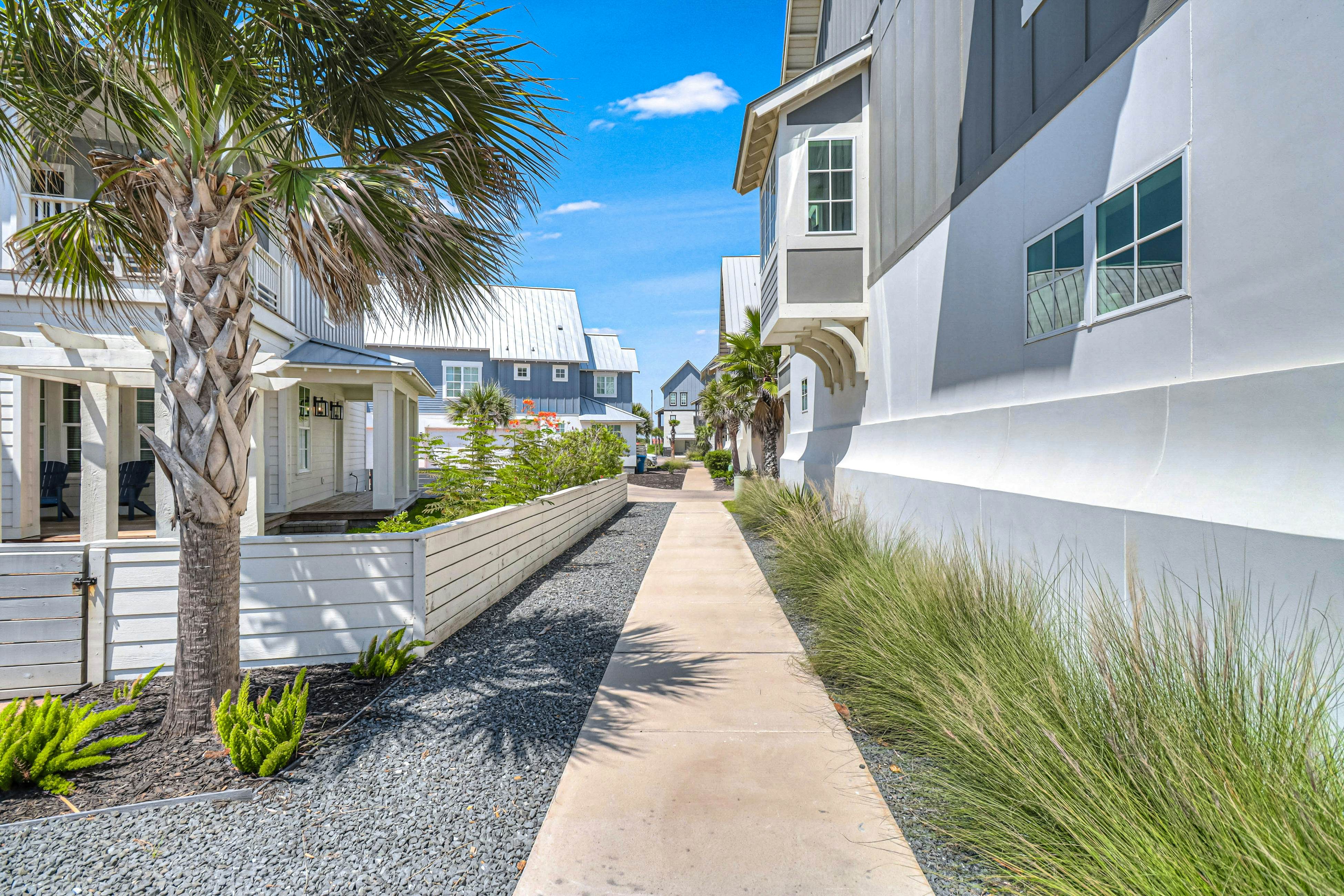 Beach Please at Palmilla Beach