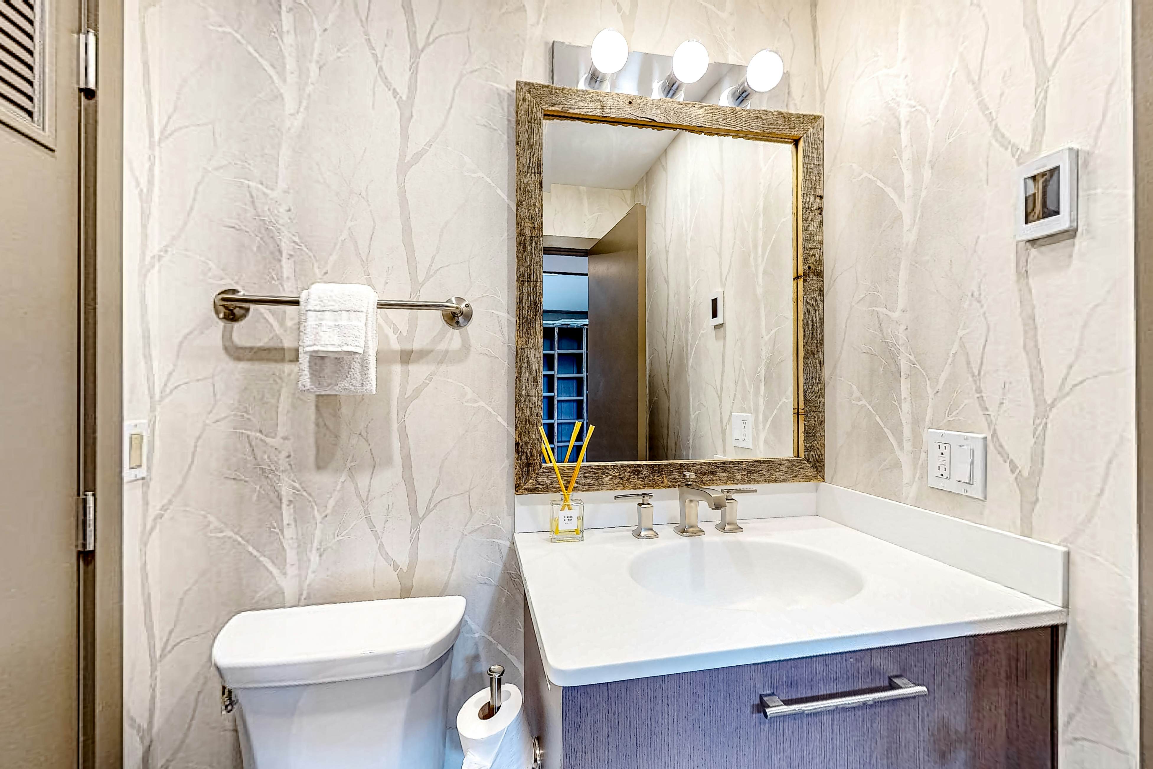 Okemo Mountain Vista