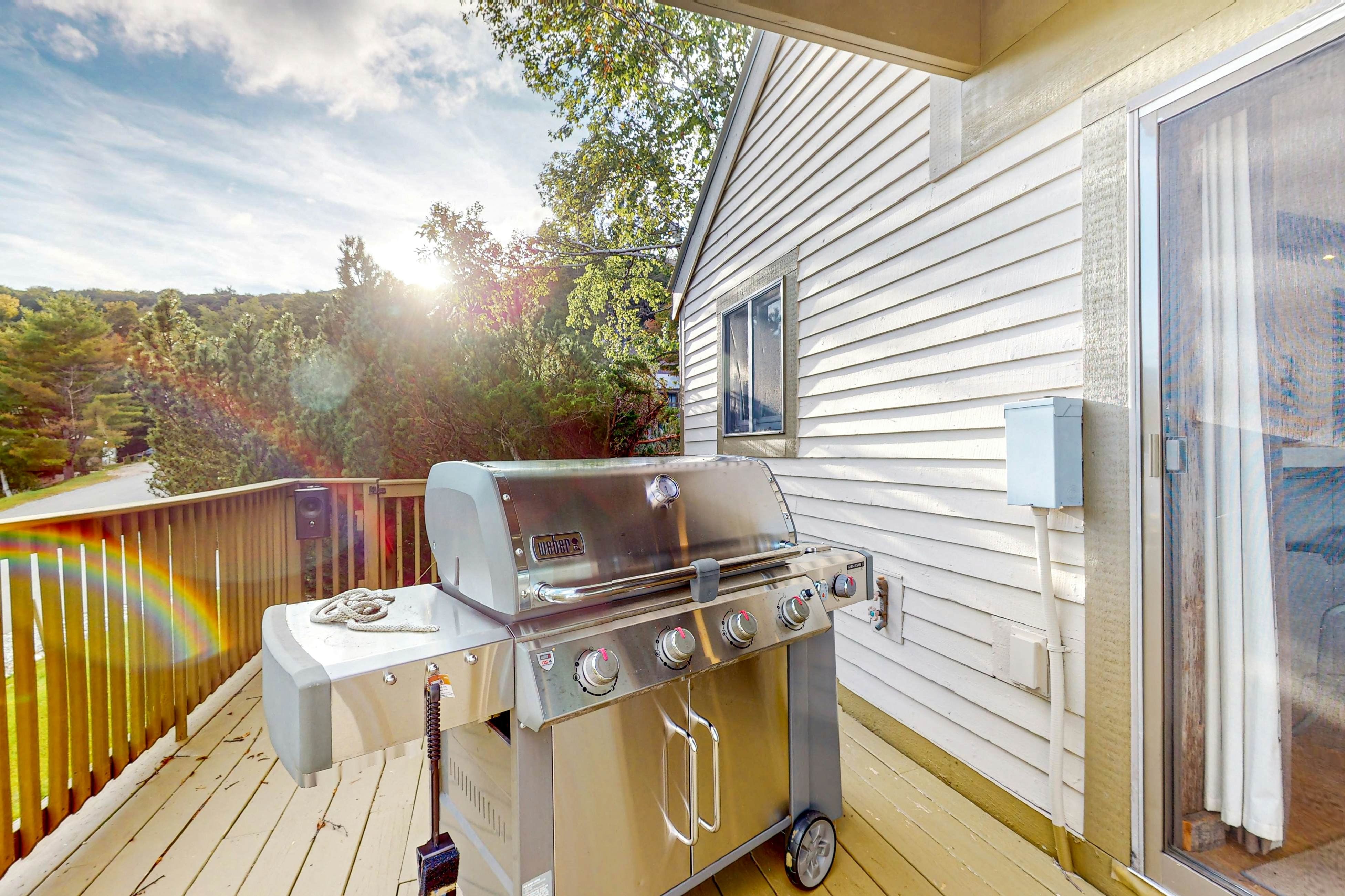 Okemo Mountain Vista