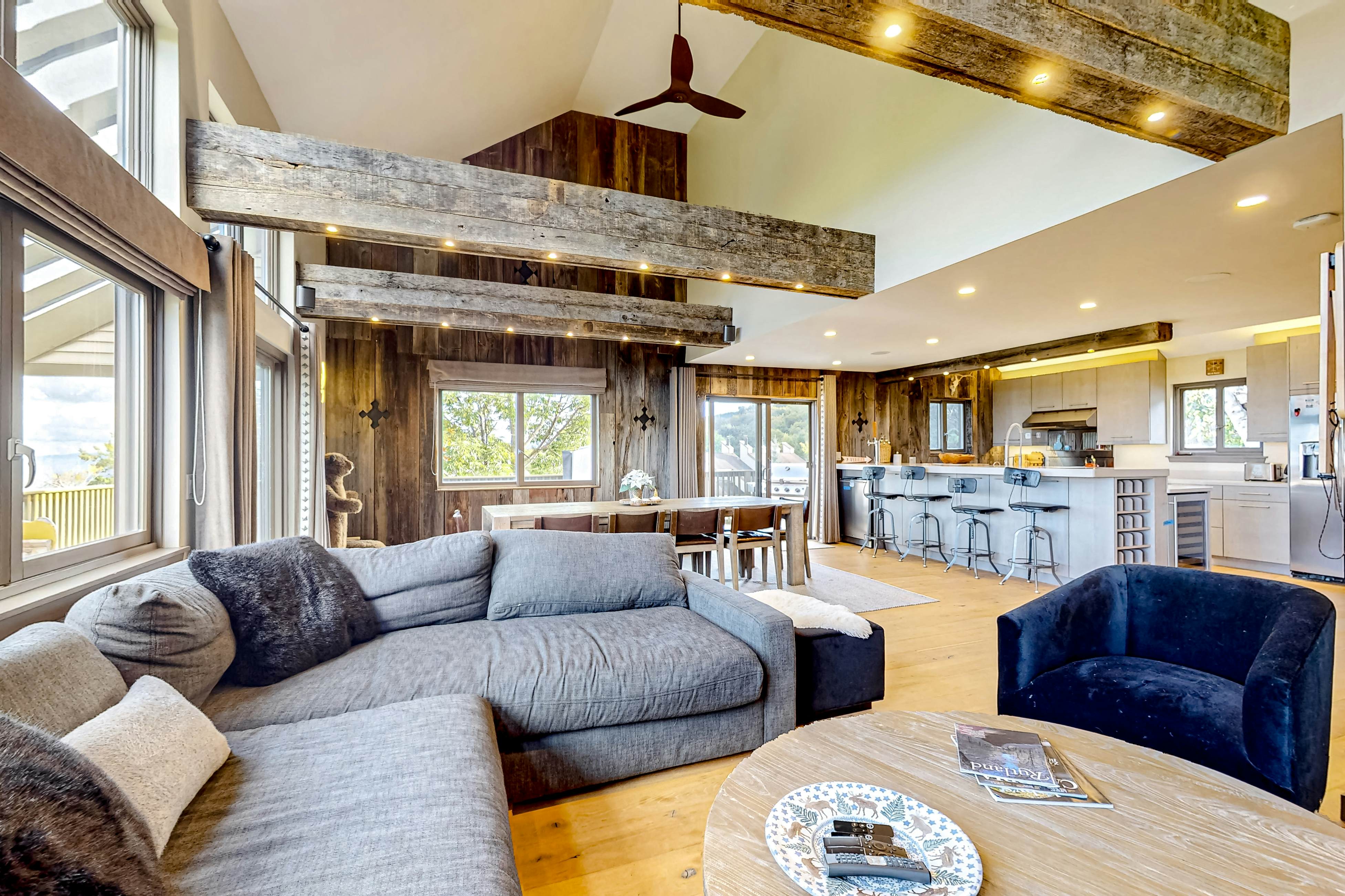 Okemo Mountain Vista