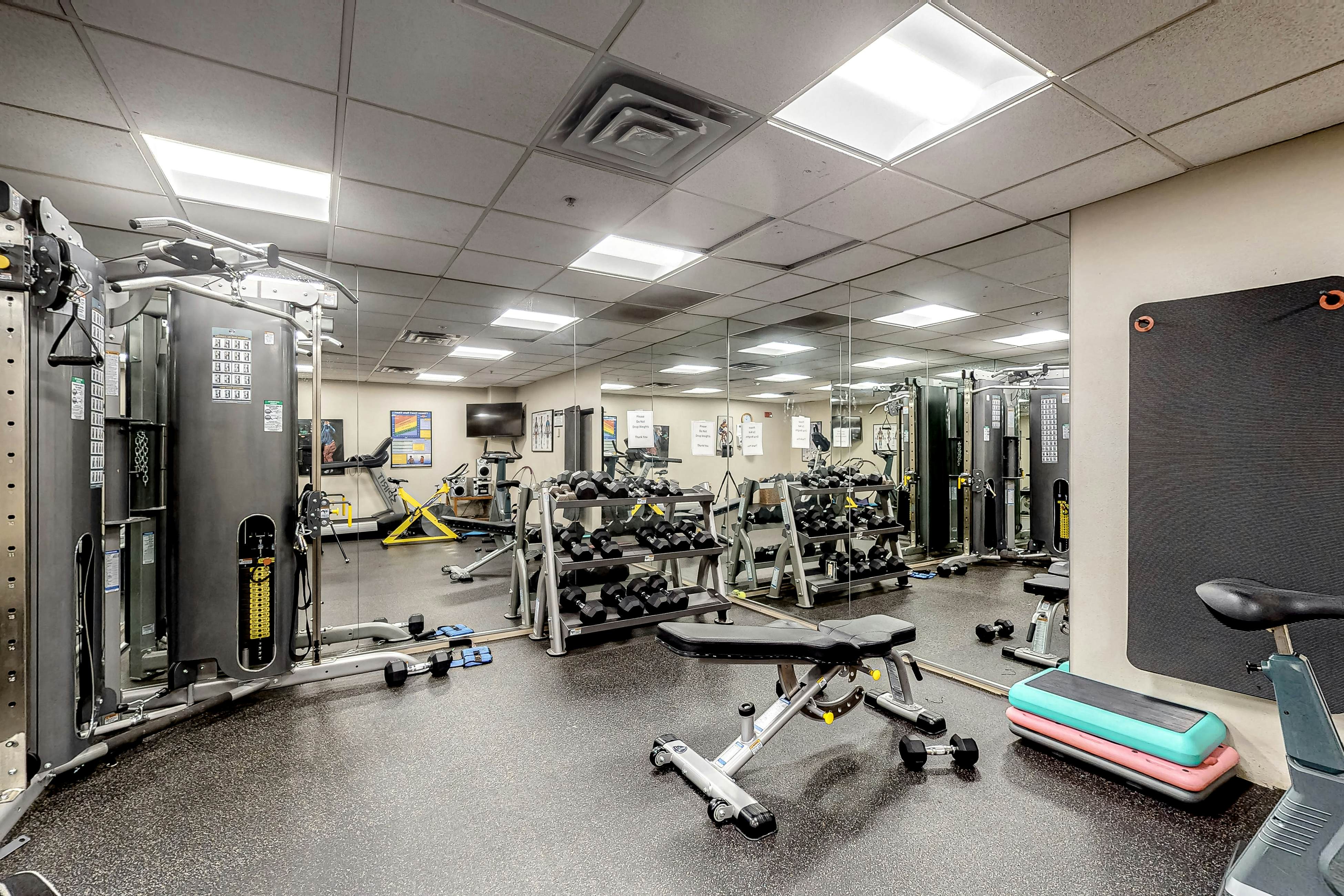 Simba Run, Unit 1102