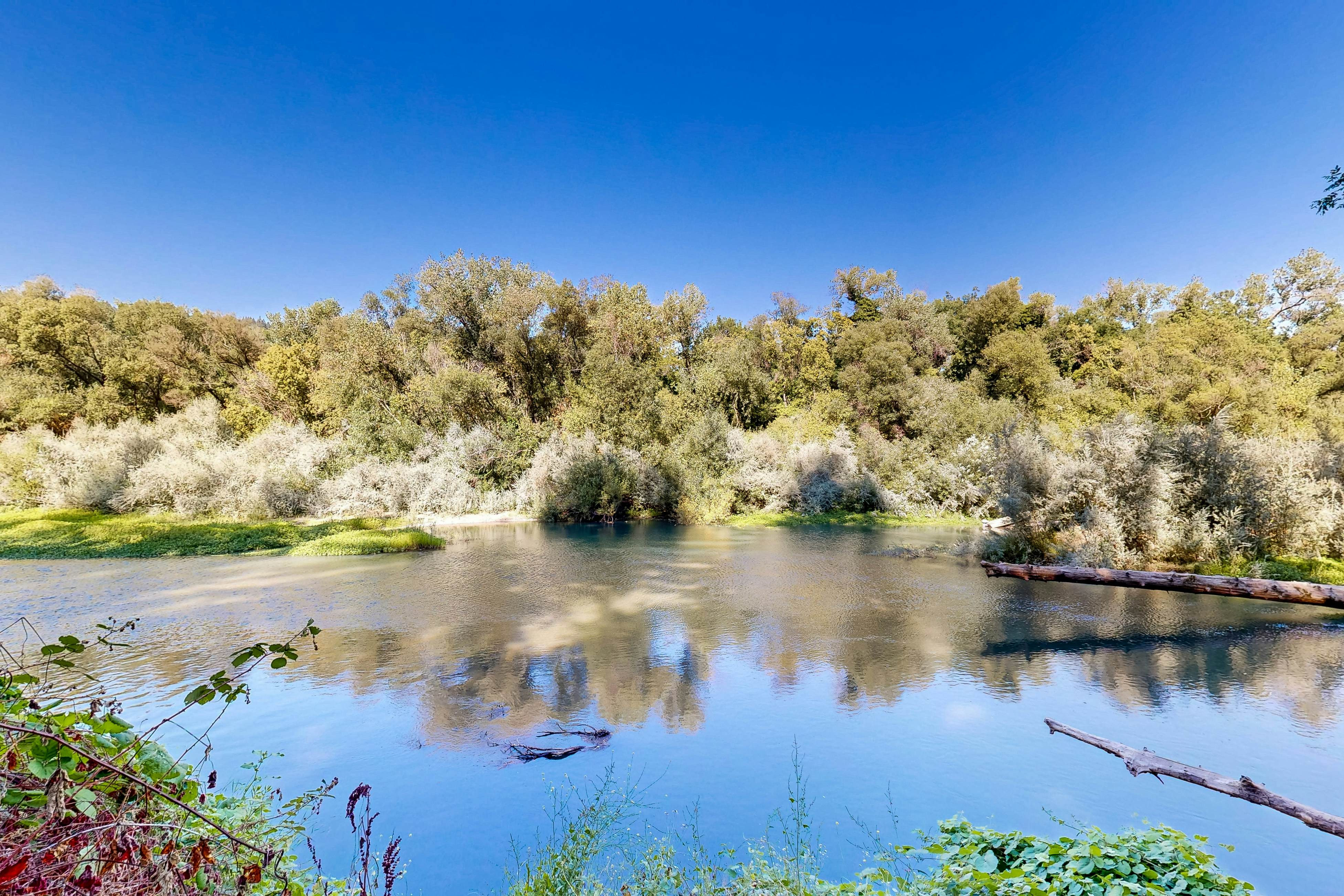 Cozy Riverview Cabin 2 BD Forestville, CA Vacation Rental Vacasa