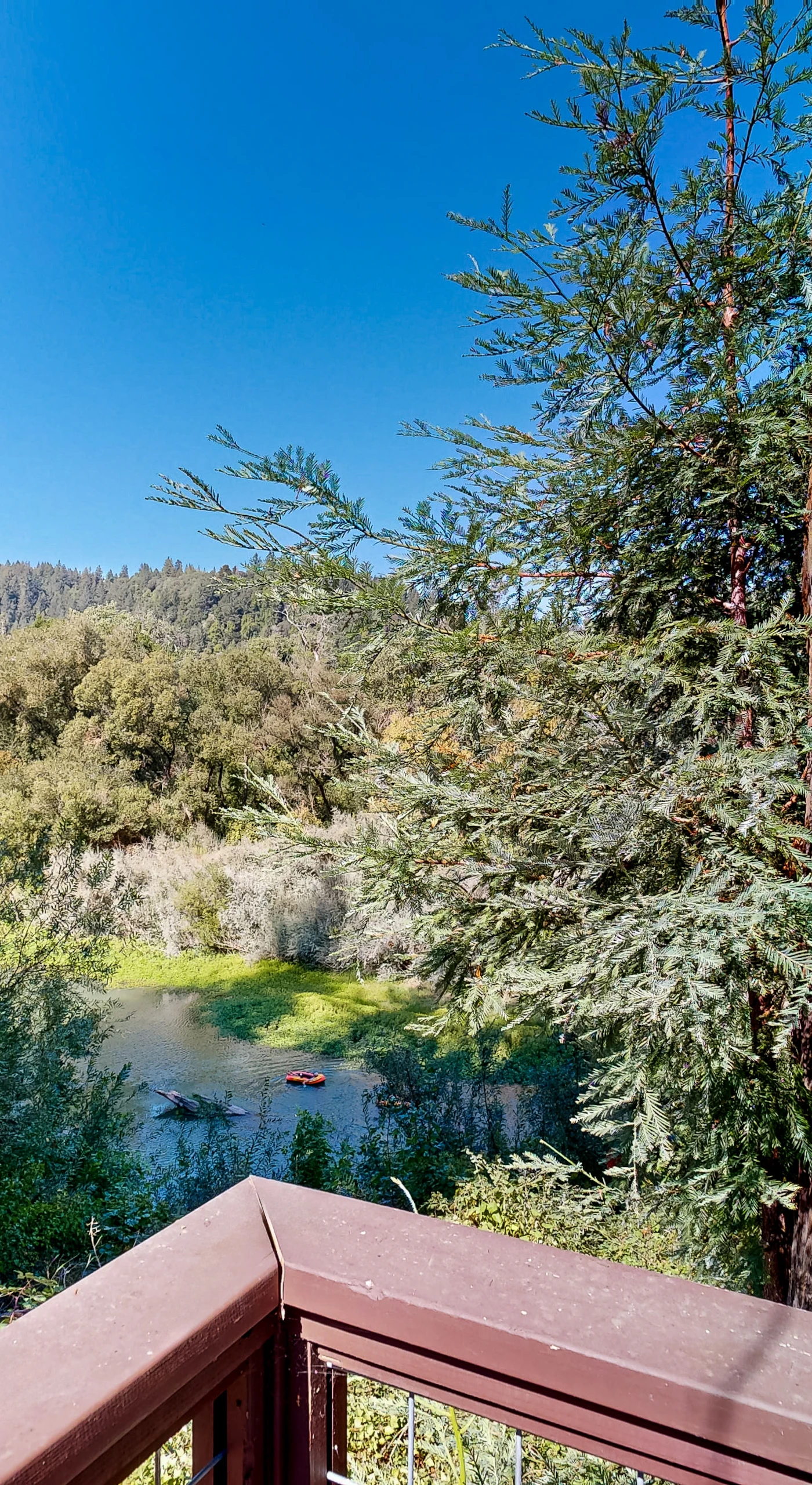Step onto your private deck and take in sweeping Russian River views framed by towering redwoods — your morning coffee backdrop in Forestville wine country.
