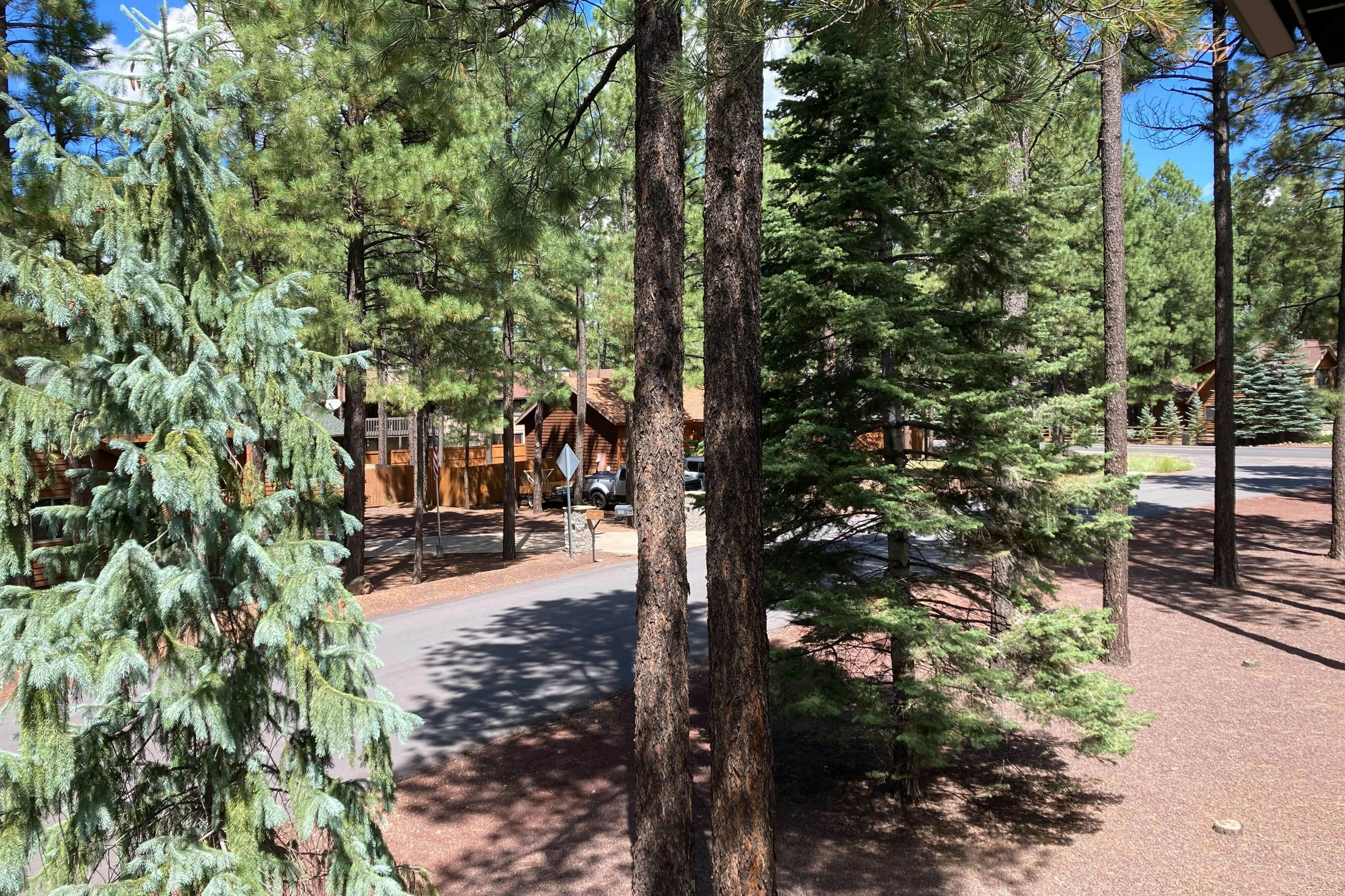 Sway of the Pines, Unit#32A