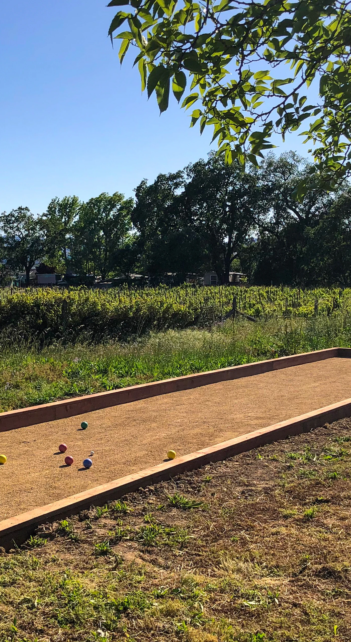 Challenge your group to a round of bocce on your private vineyard-side court — cold glass of Healdsburg wine in hand, rolling hills beyond.