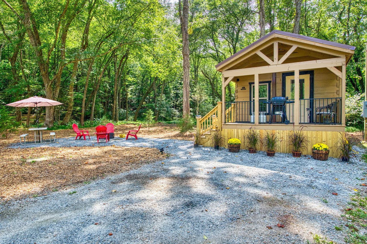 The Bear Cabin 1 BD Franklin, NC Vacation Rental Vacasa