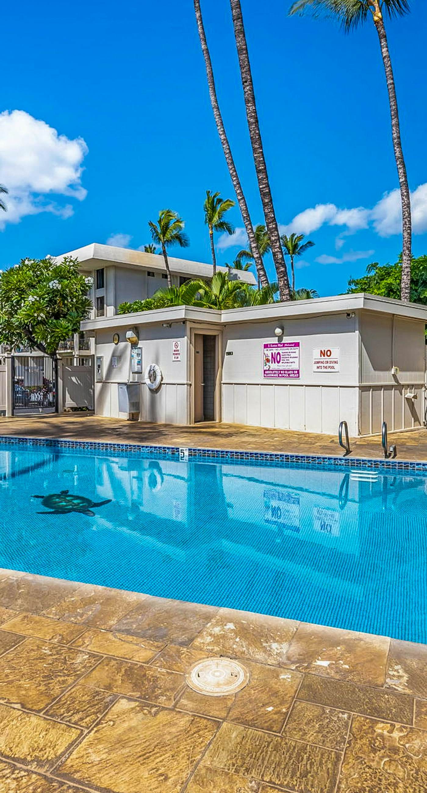 Kihei Akahi C316