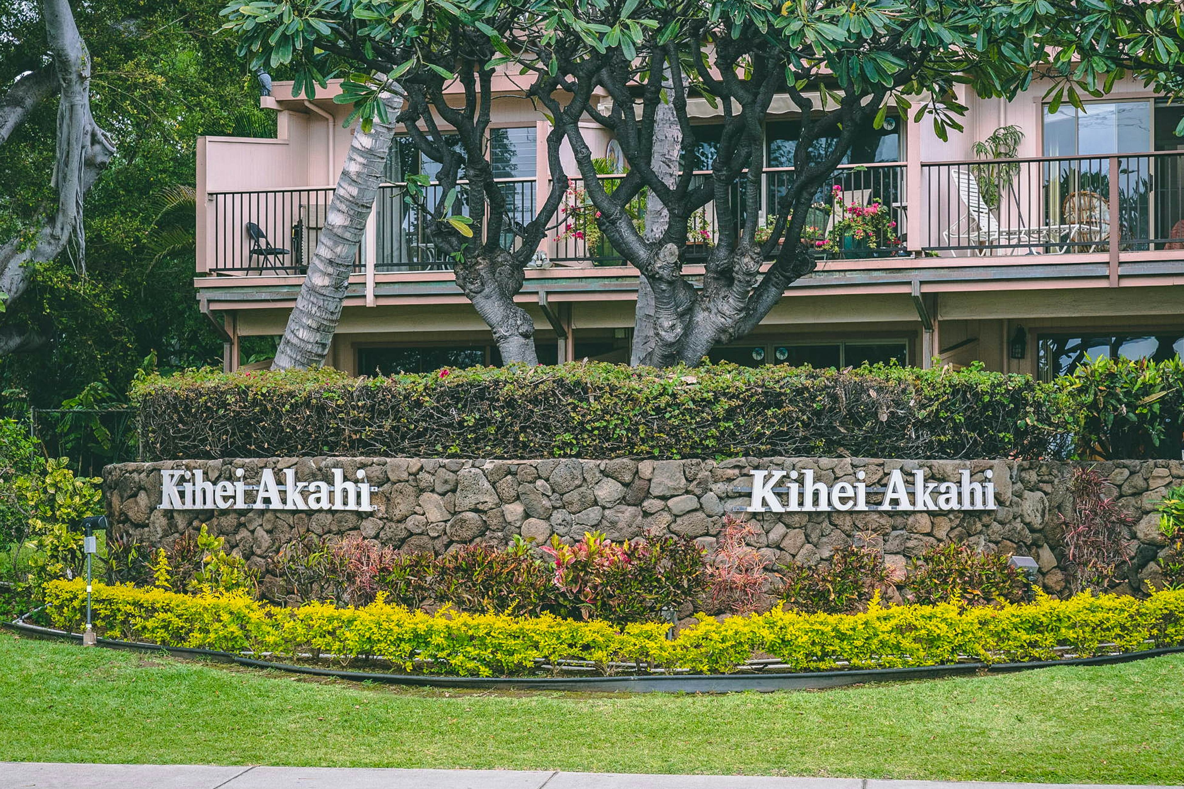 Kihei Akahi C316