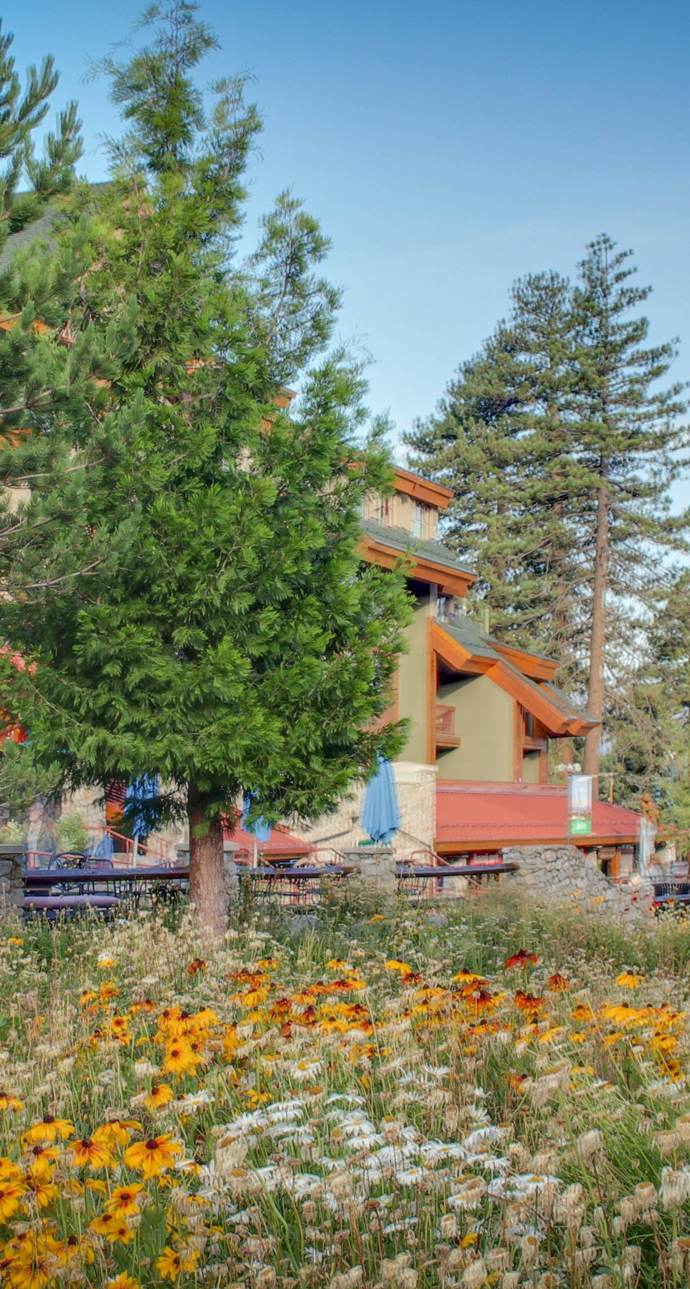 Lakeland Village 474