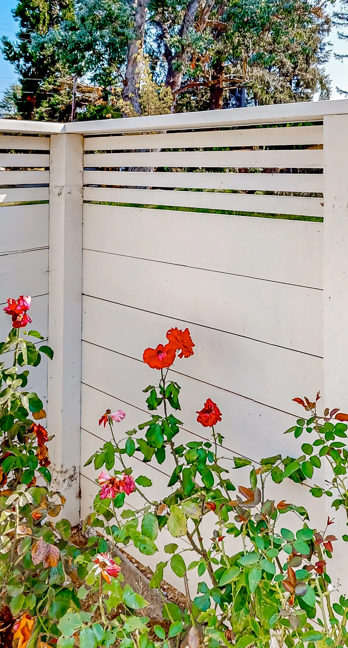 Silverado Resort and Spa 381