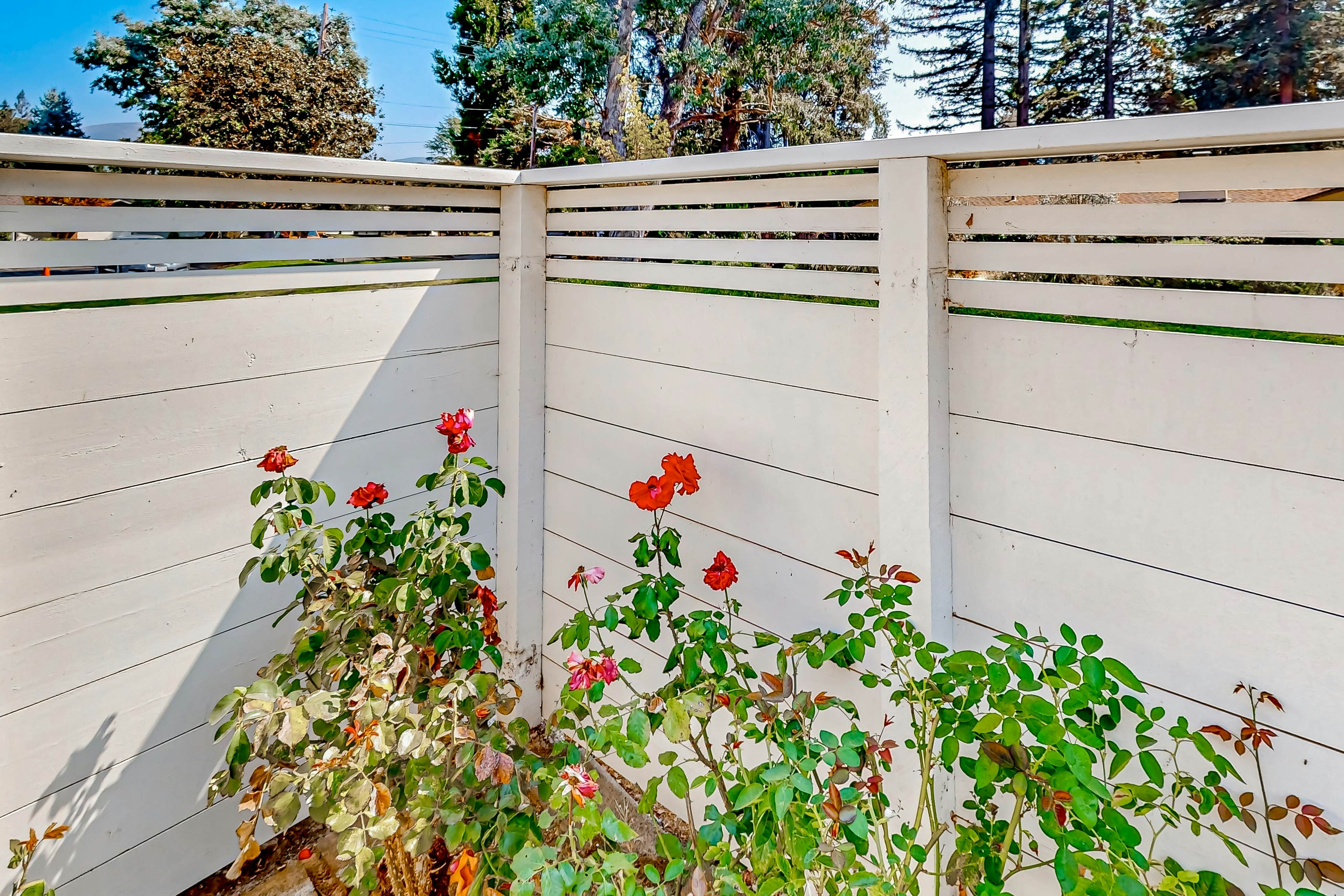 Silverado Resort and Spa 381 & 382