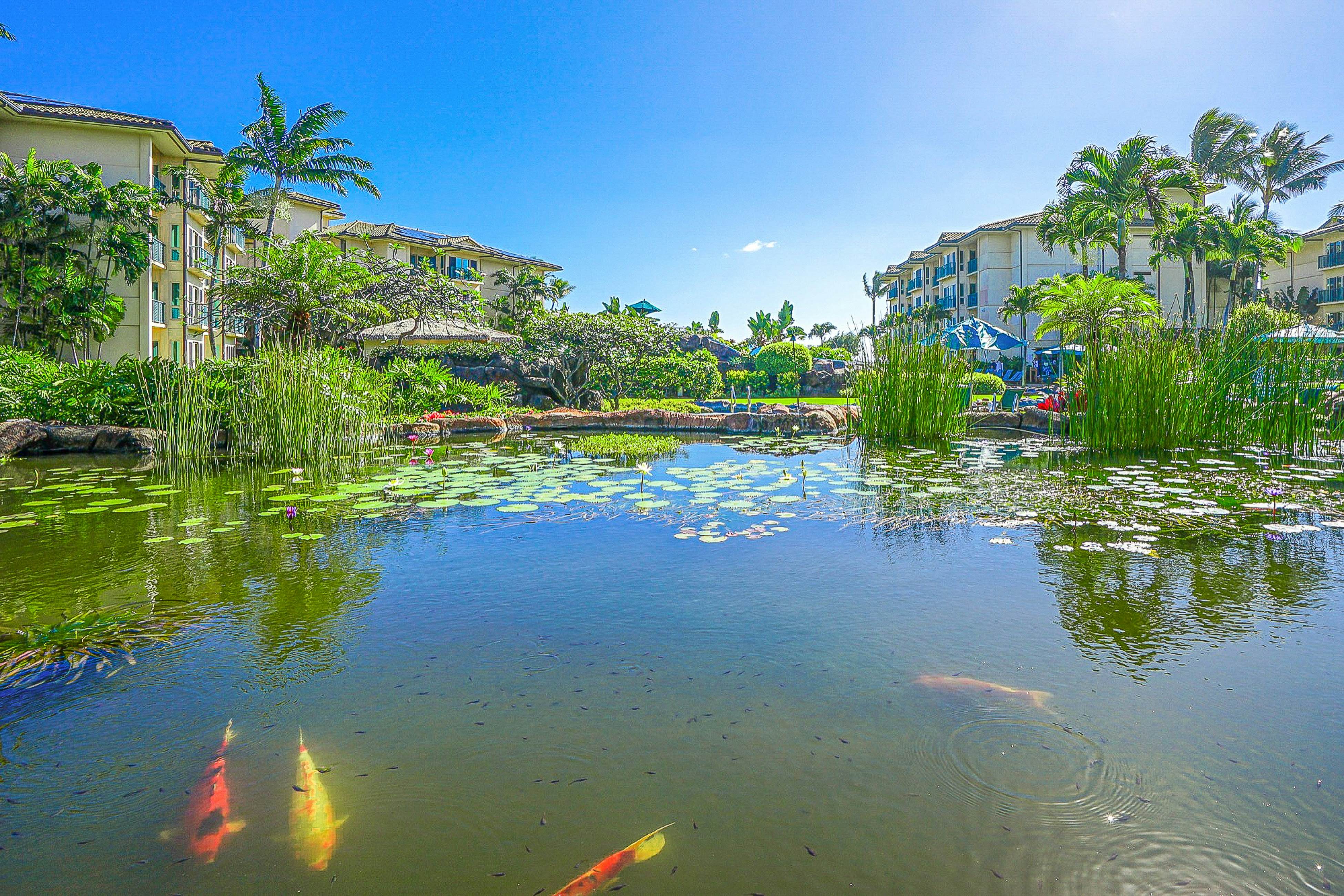 Waipouli Beach Resort H105