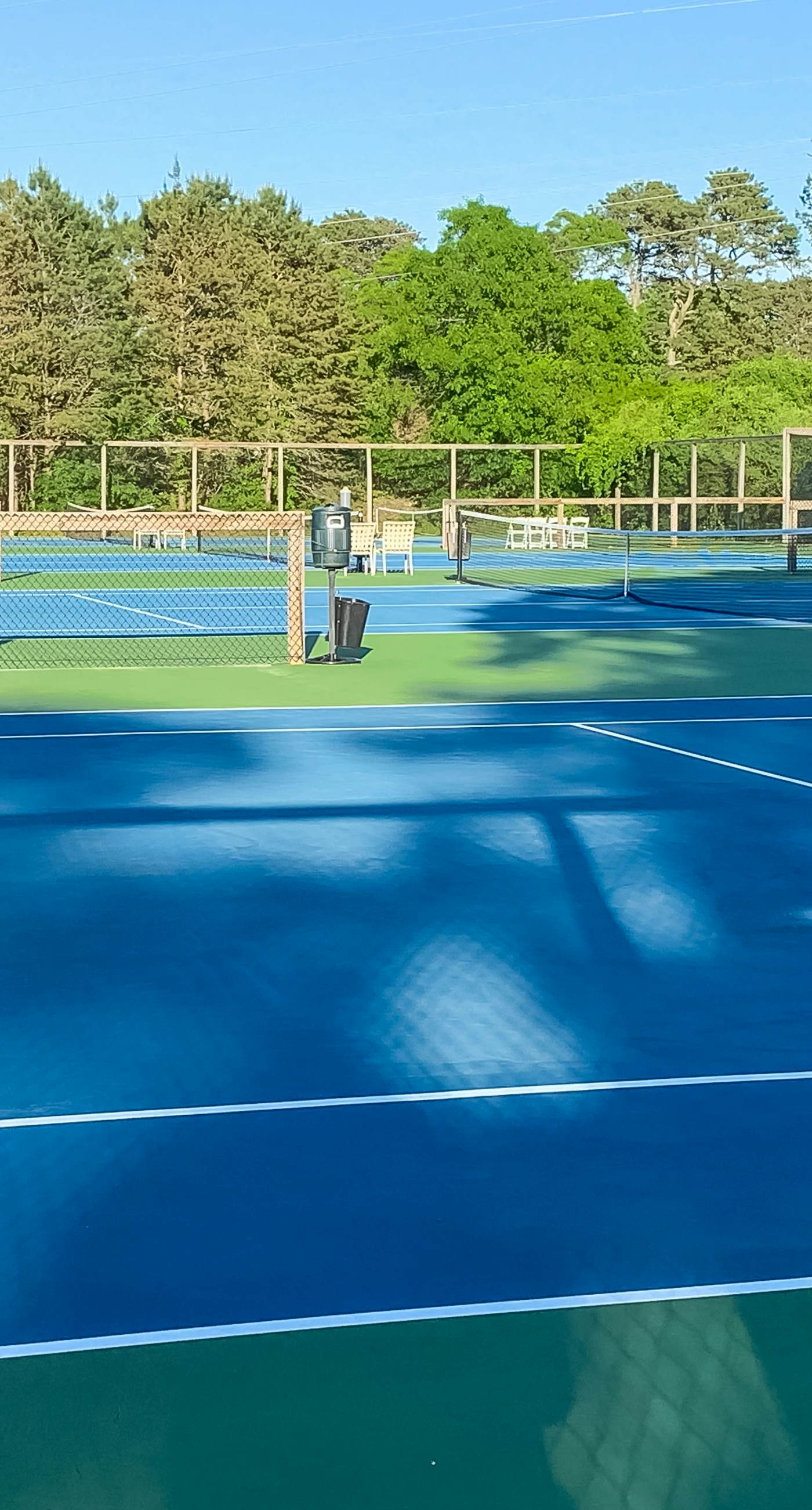 Sand, Shells & Sunsets