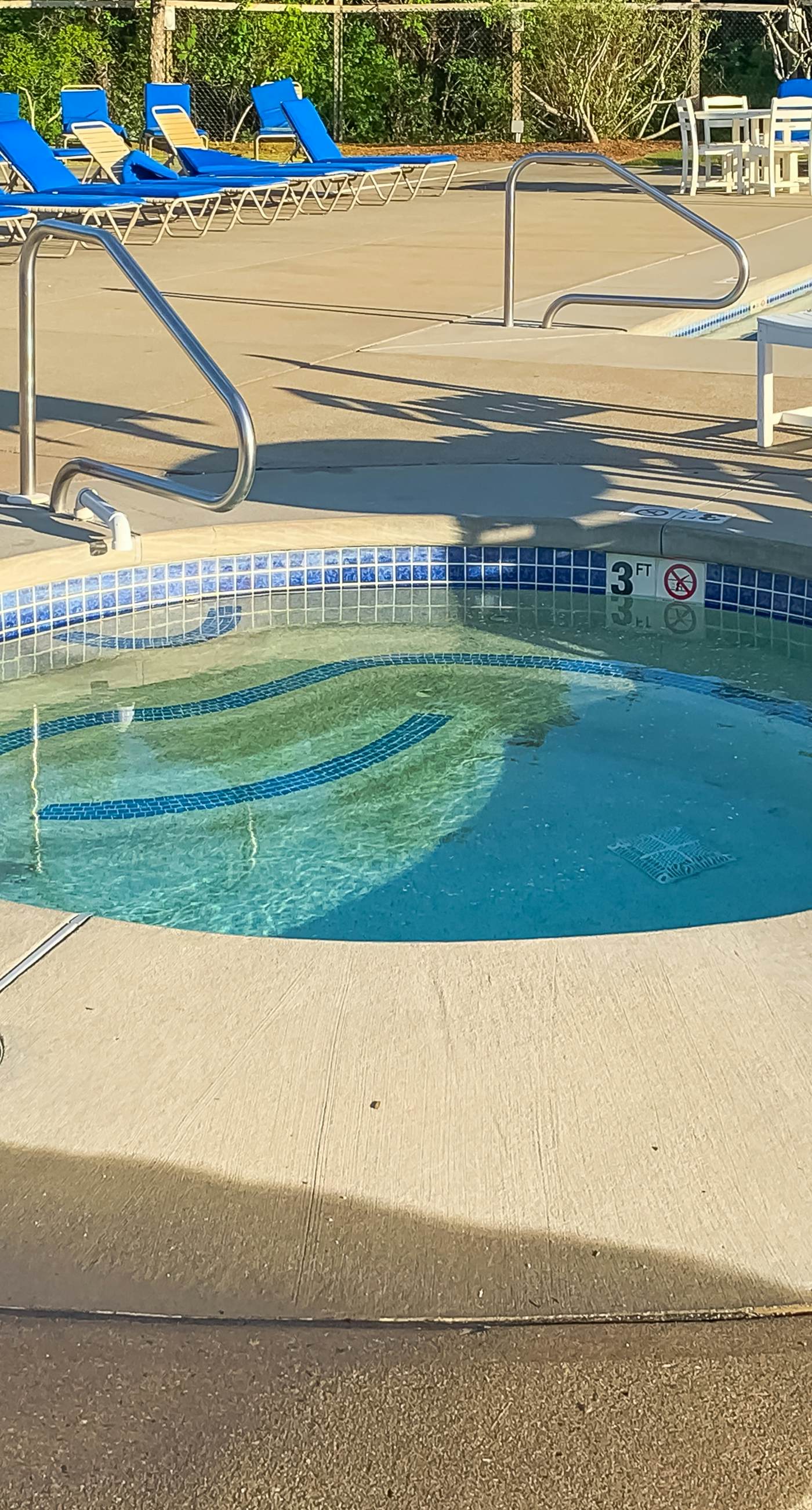 Sand, Shells & Sunsets