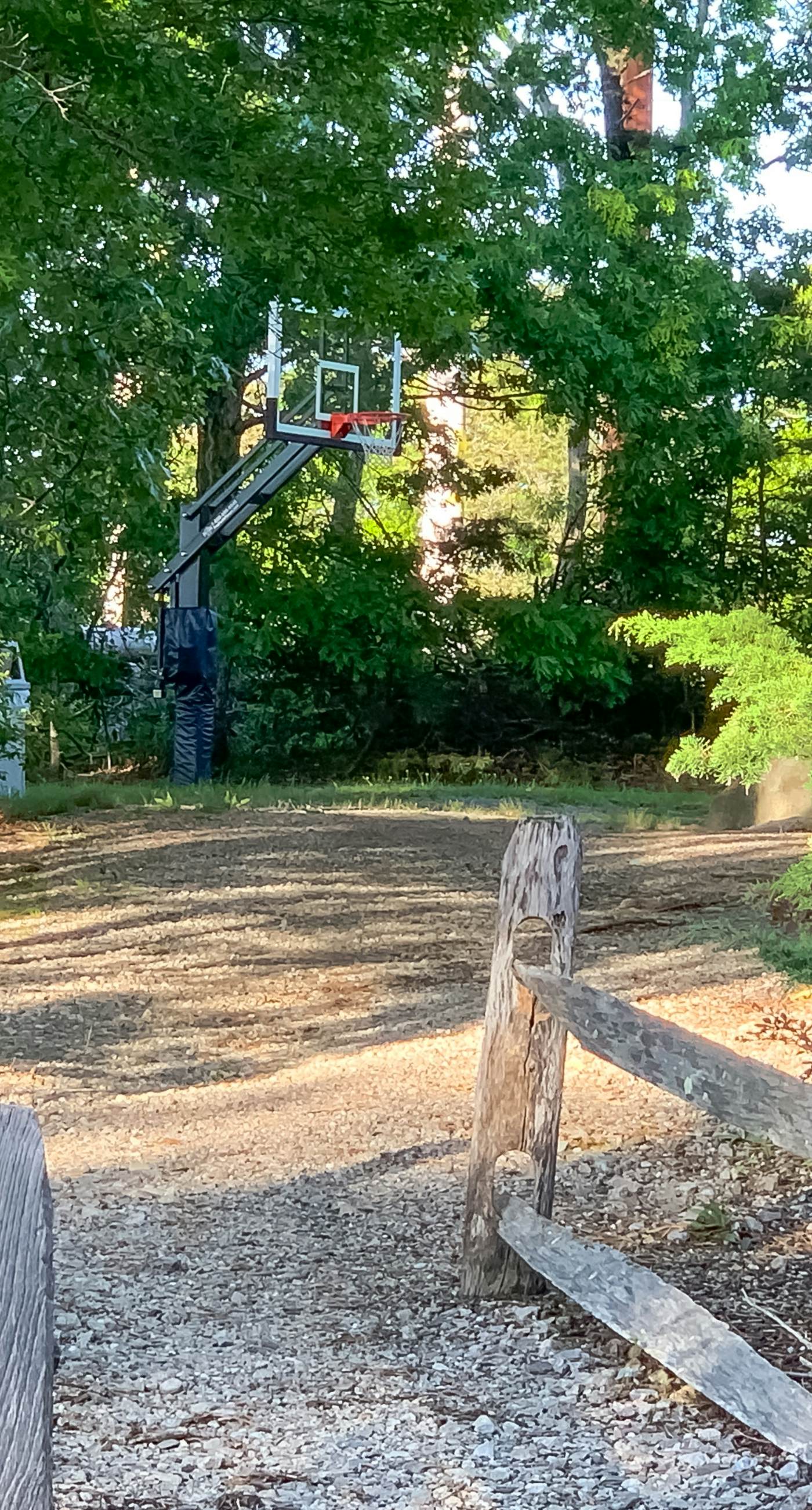 Sand, Shells & Sunsets