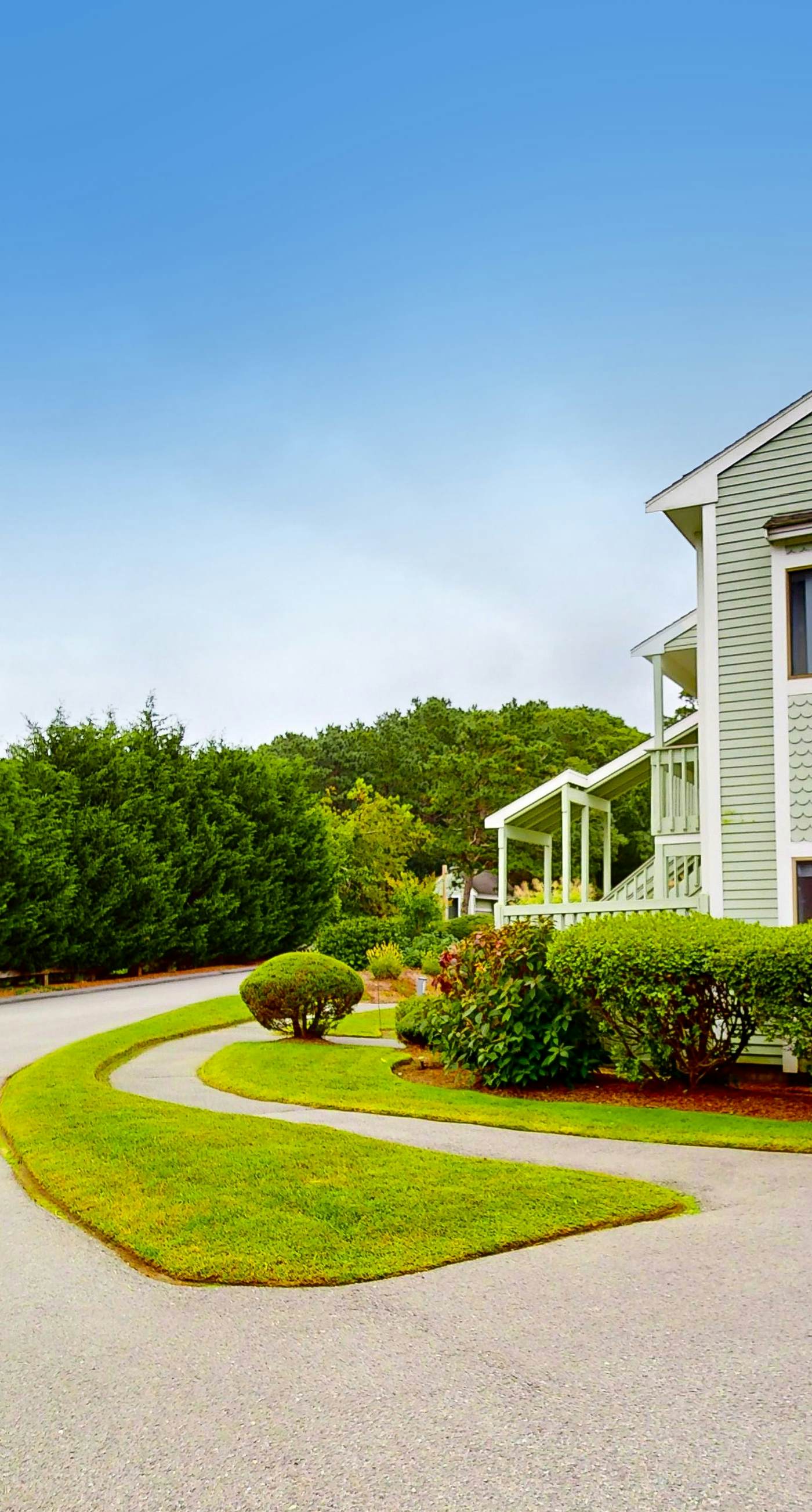 Sand, Shells & Sunsets