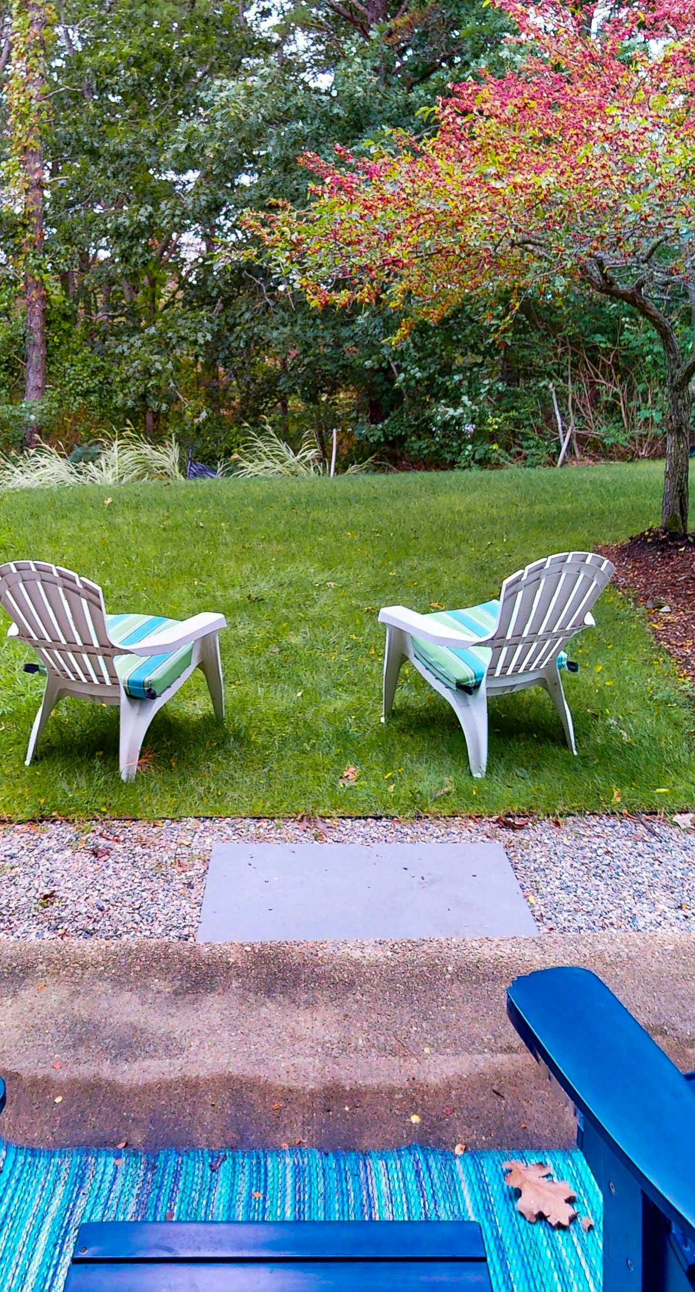 Sand, Shells & Sunsets