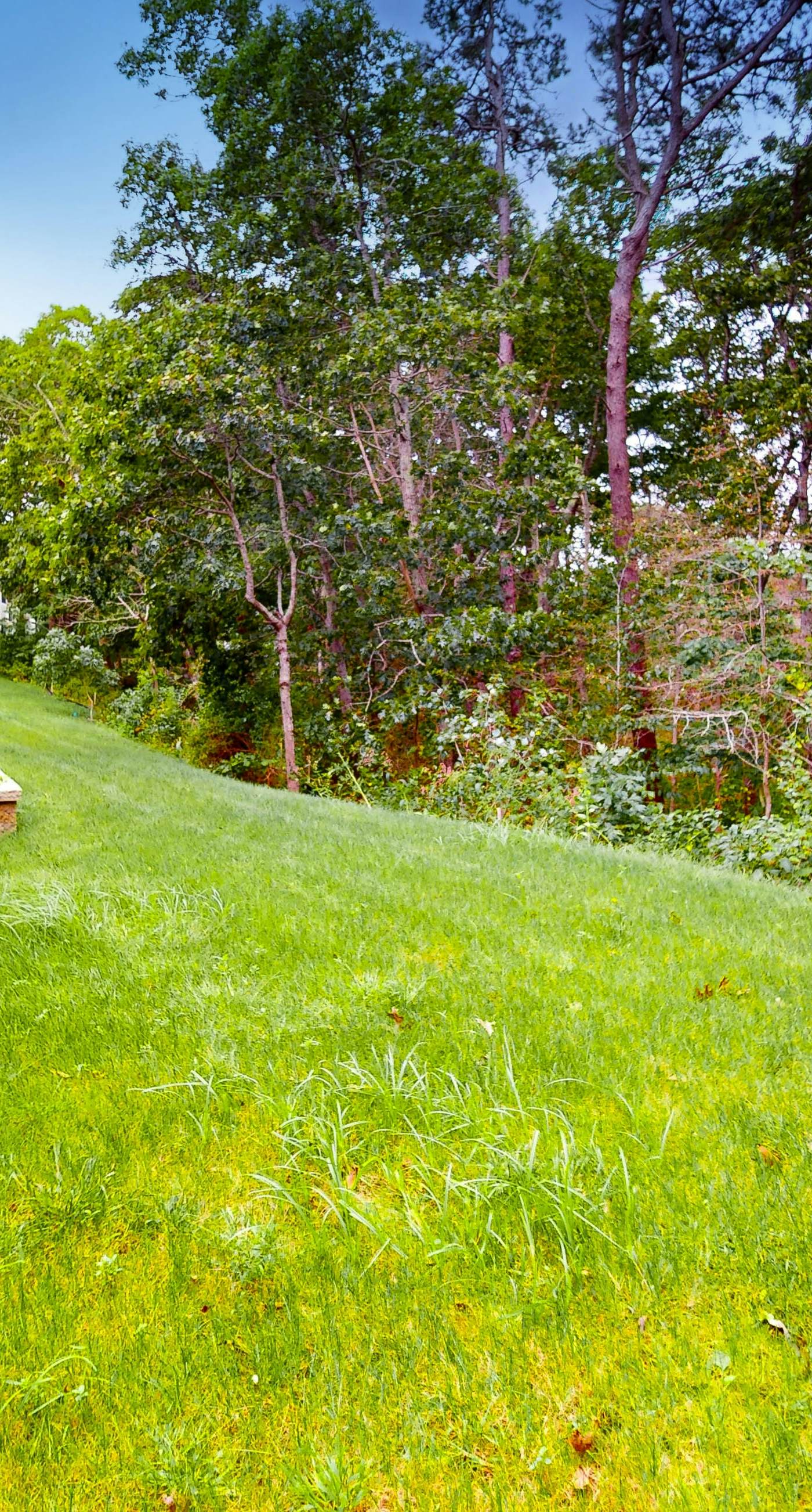 Sand, Shells & Sunsets