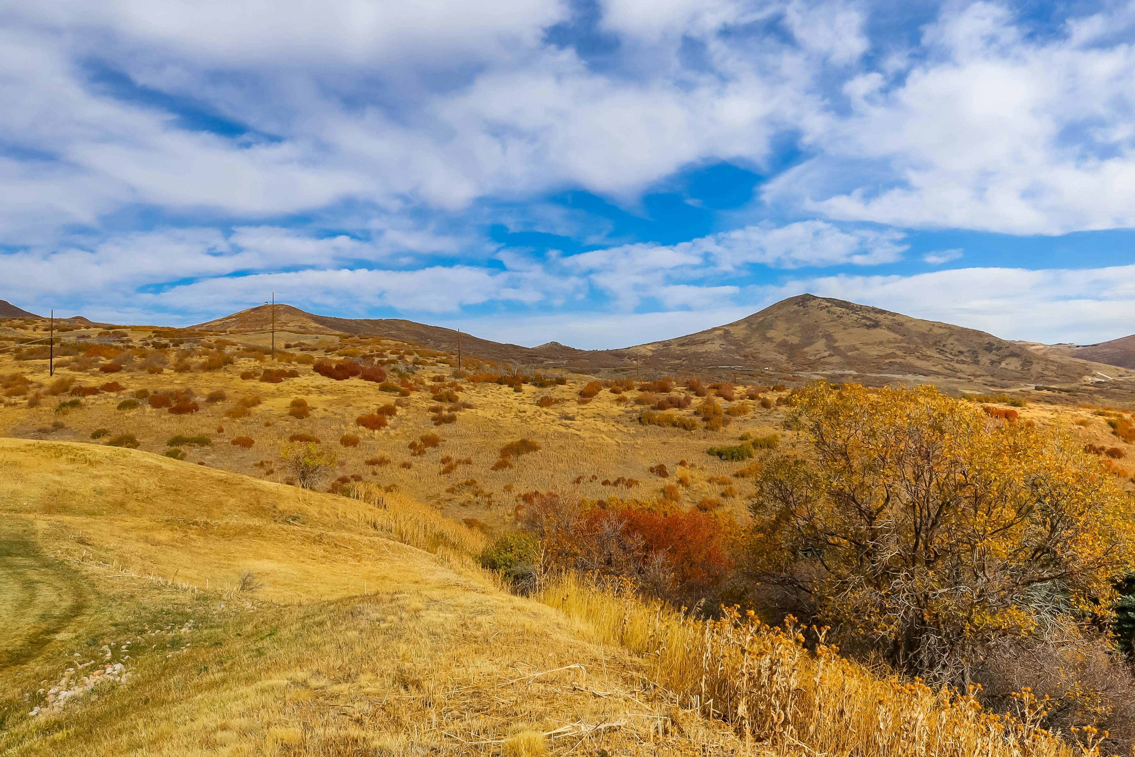 Timberline Tranquility C104 at Fox Bay