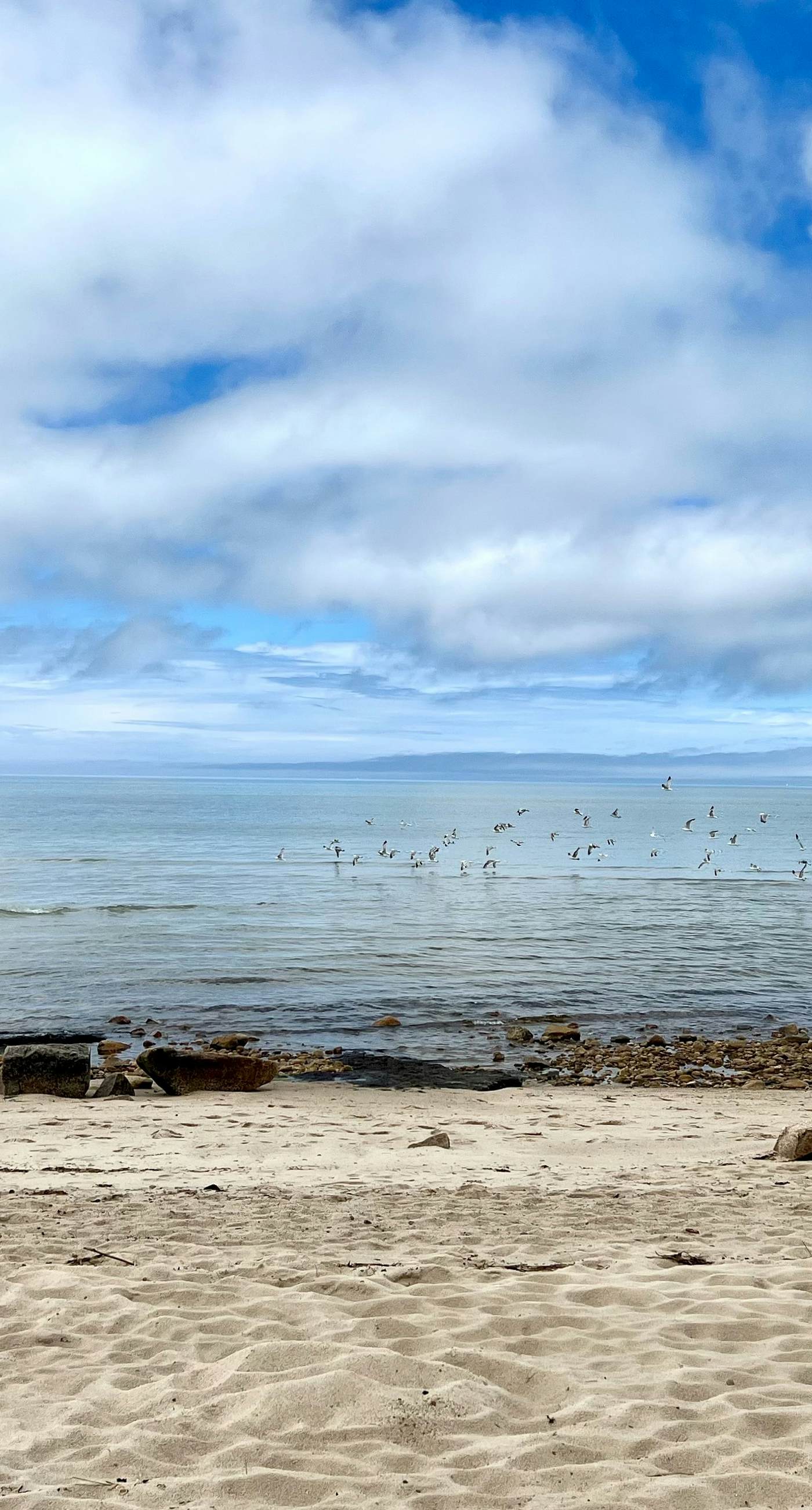 Sand, Shells & Sunsets