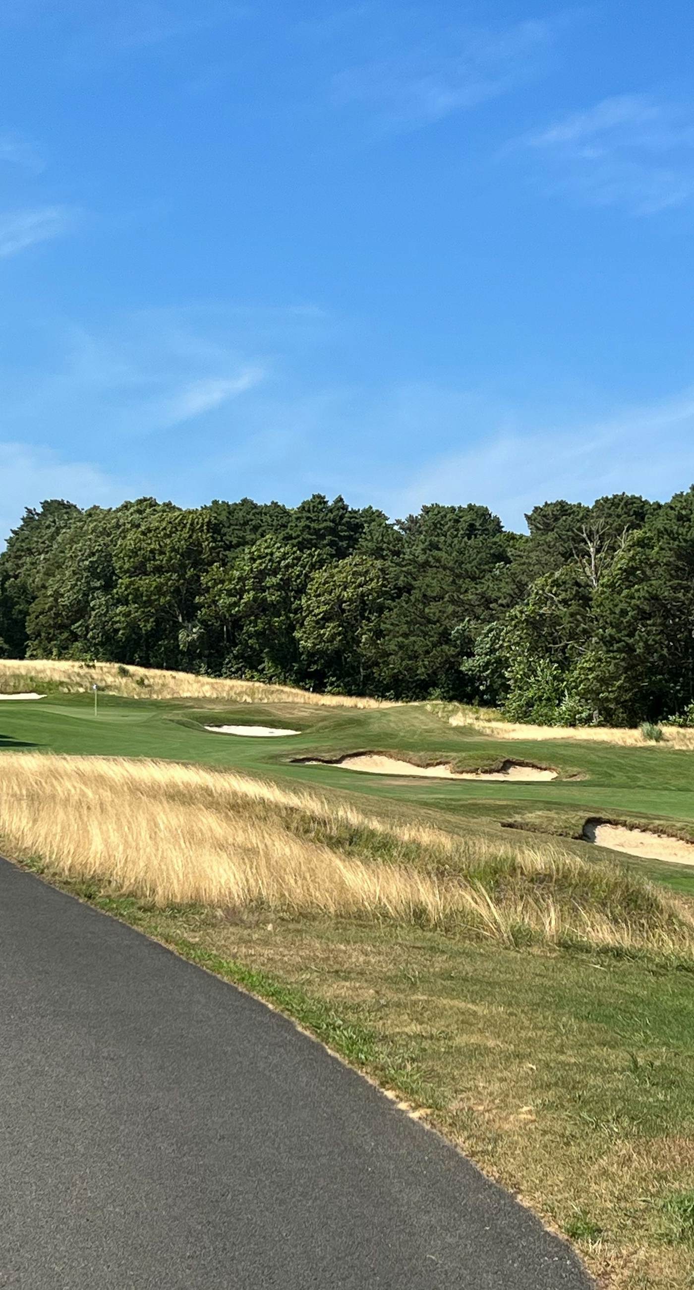 Sand, Shells & Sunsets