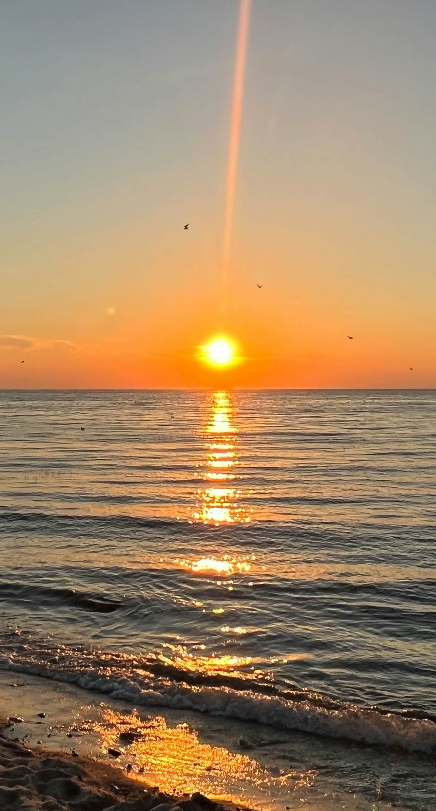 Sand, Shells & Sunsets