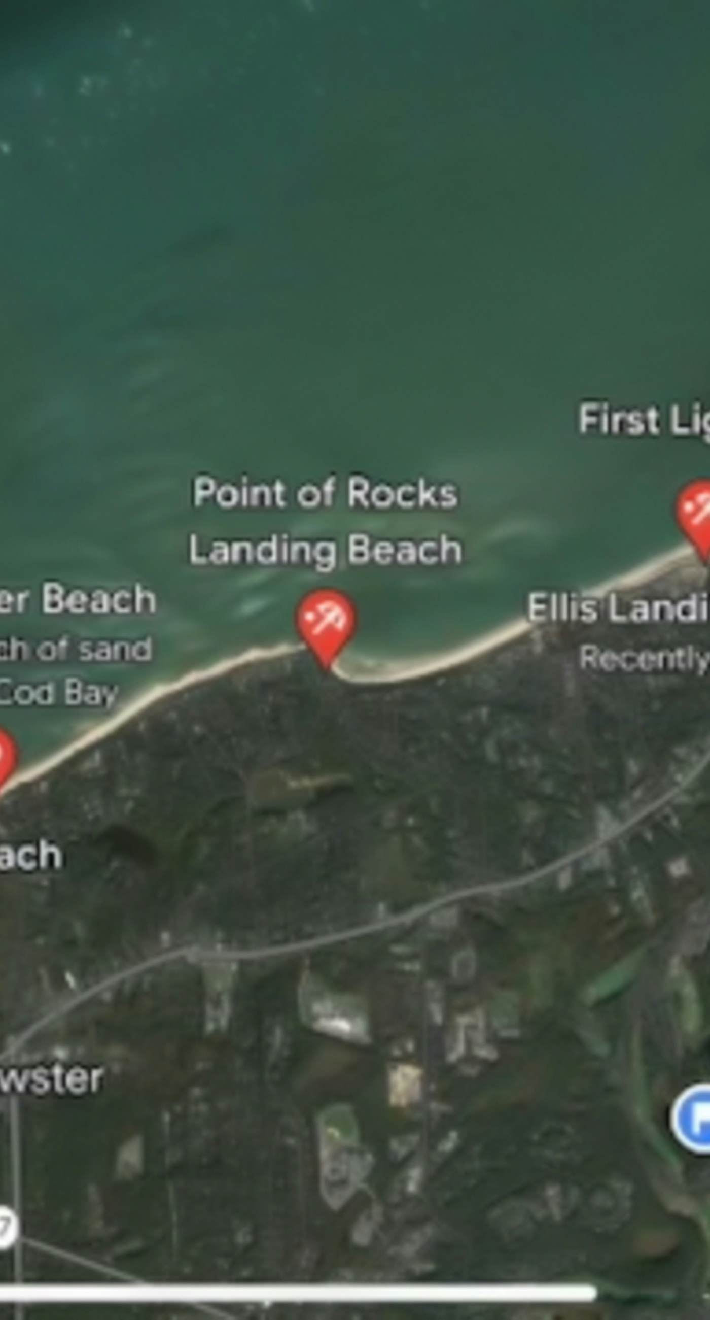 Sand, Shells & Sunsets