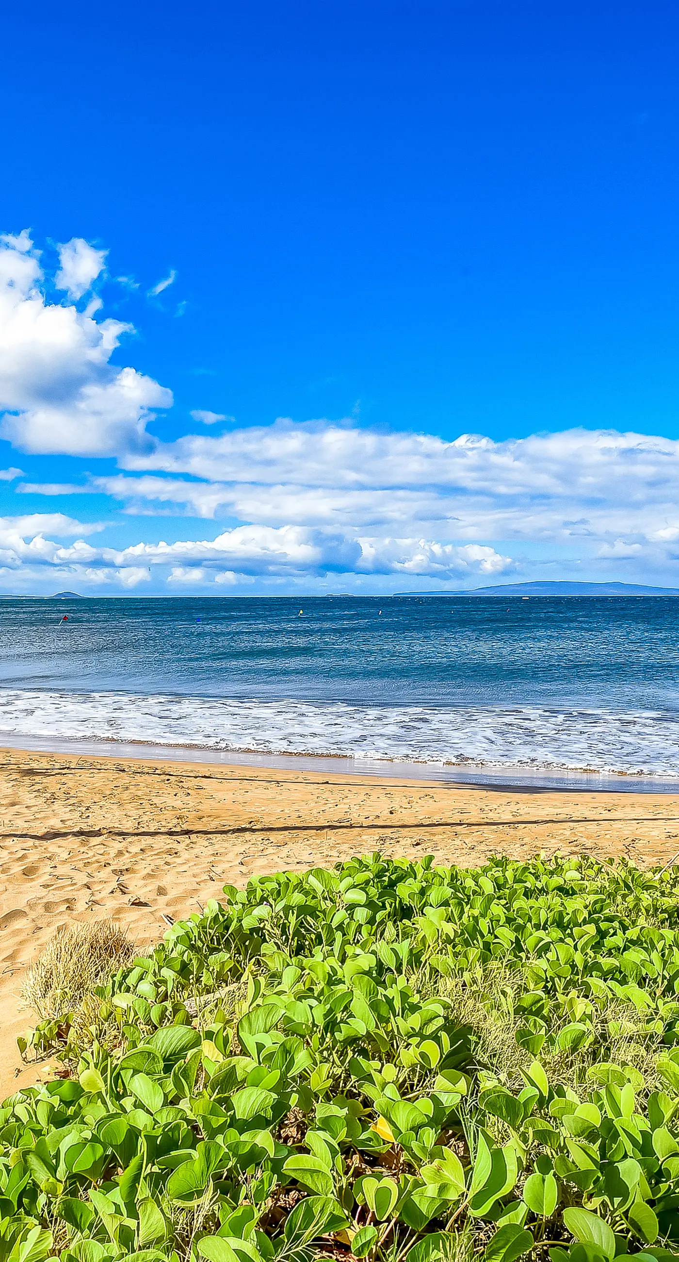 Sugar Beach Resort 119