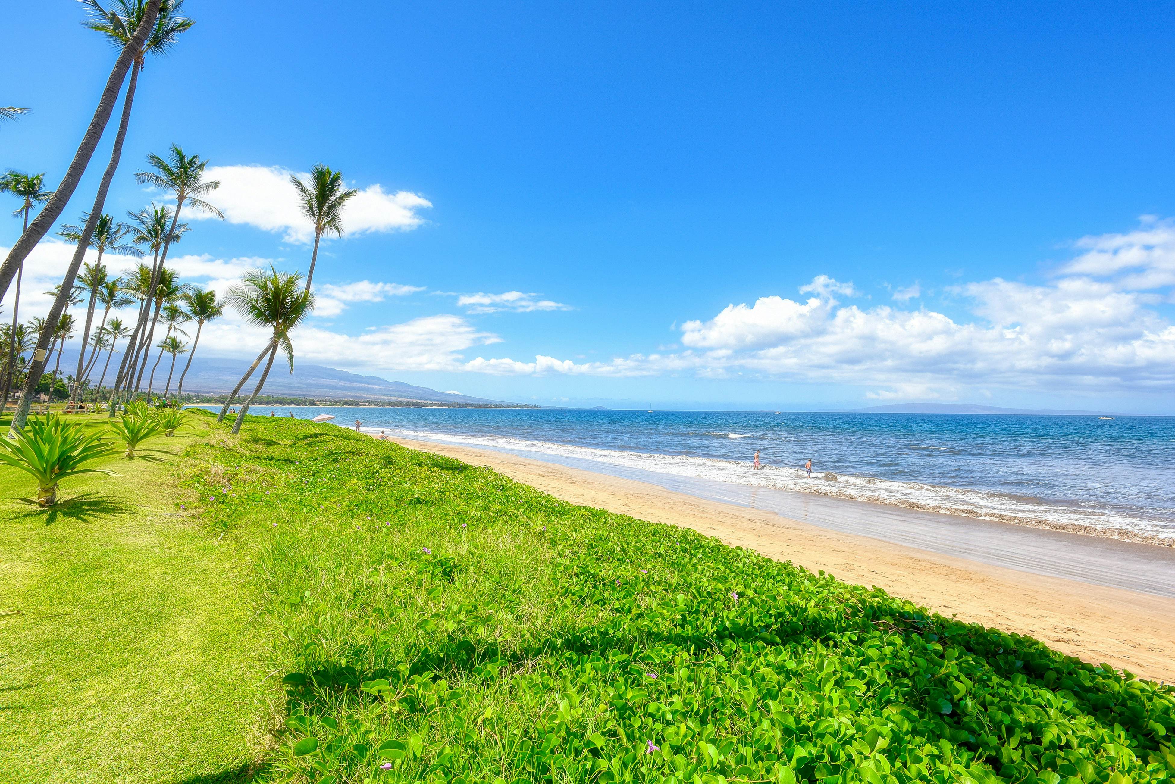 Sugar Beach Resort 203