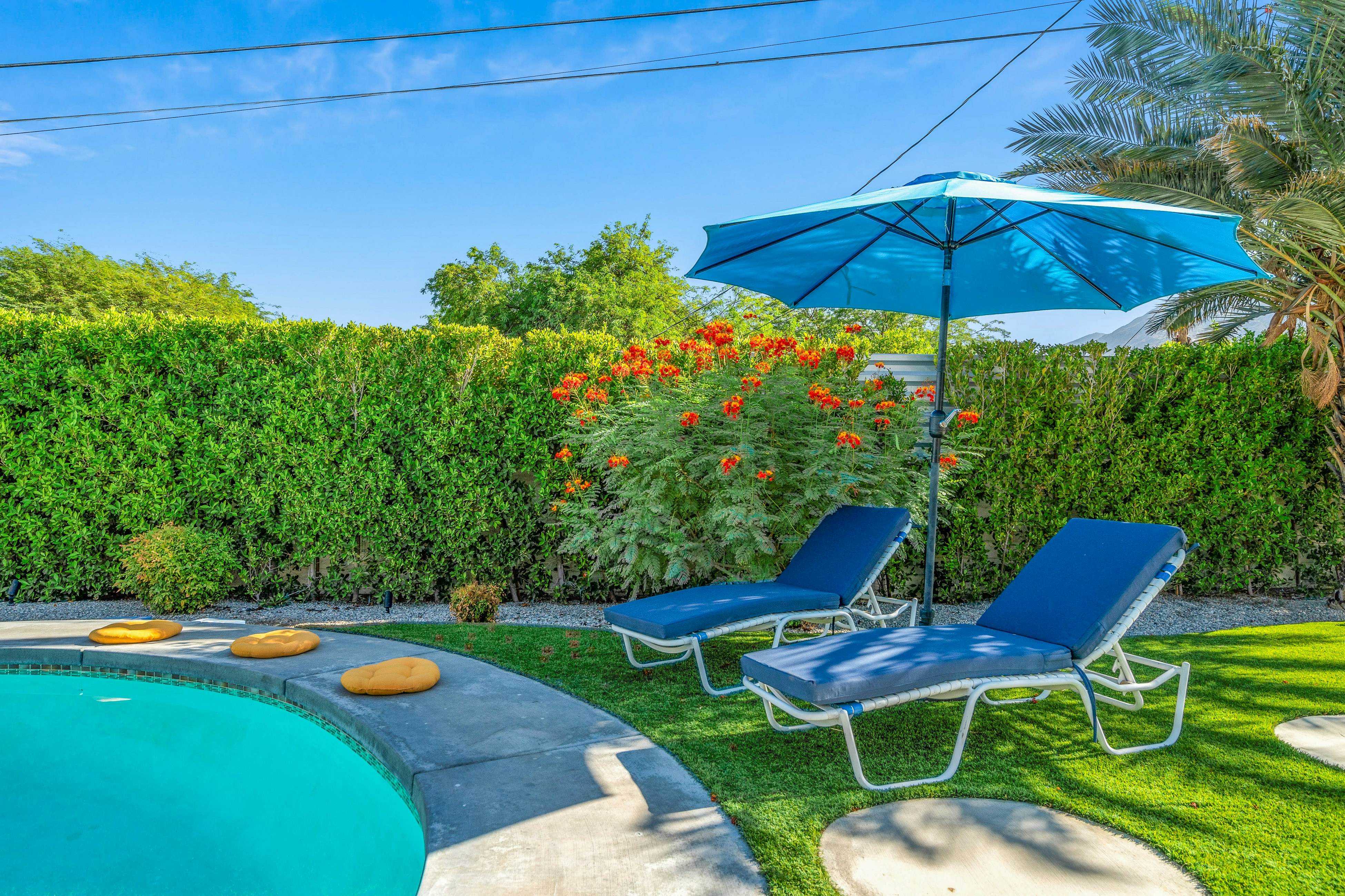 Desert Drip Palm Springs