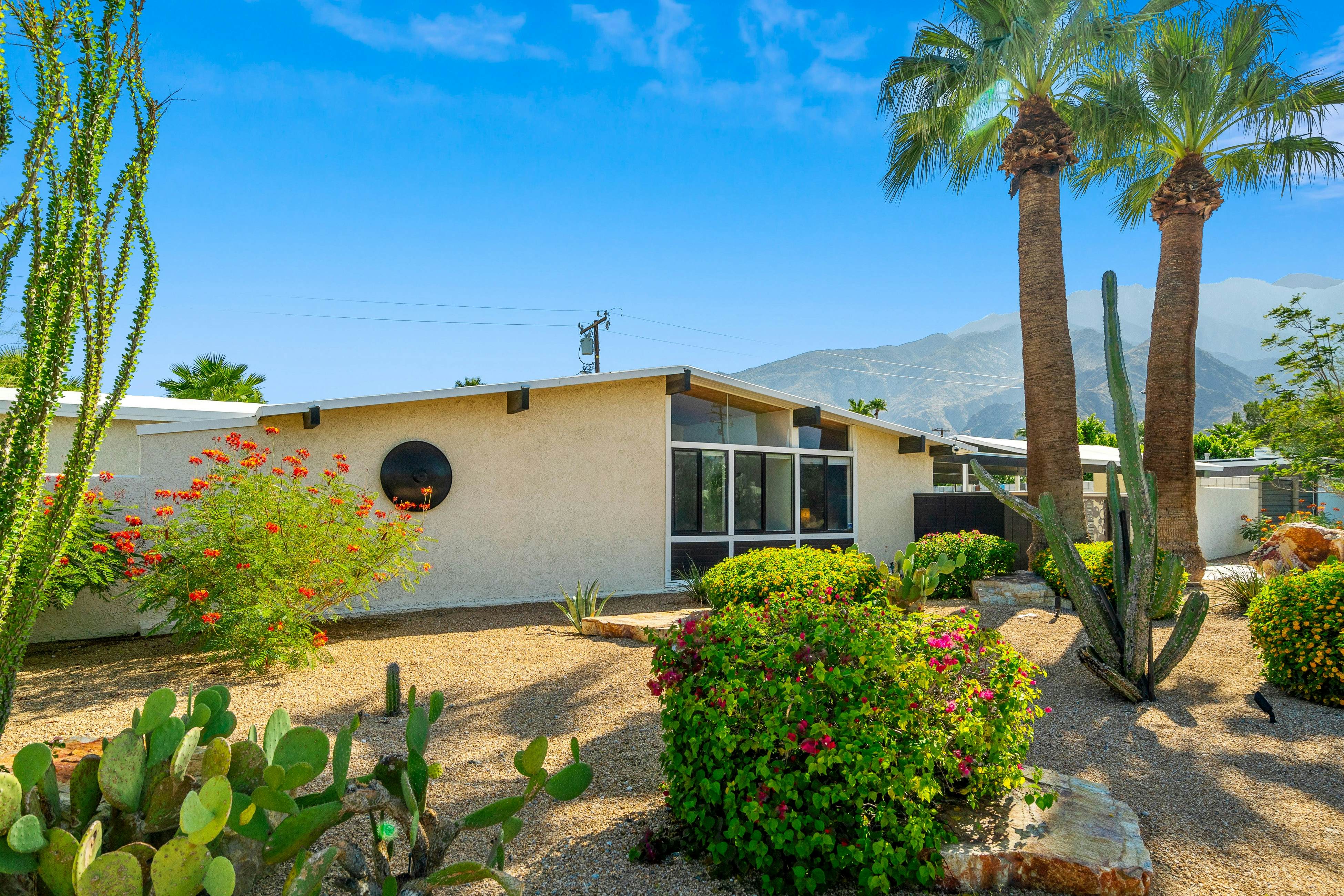 Desert Drip Palm Springs