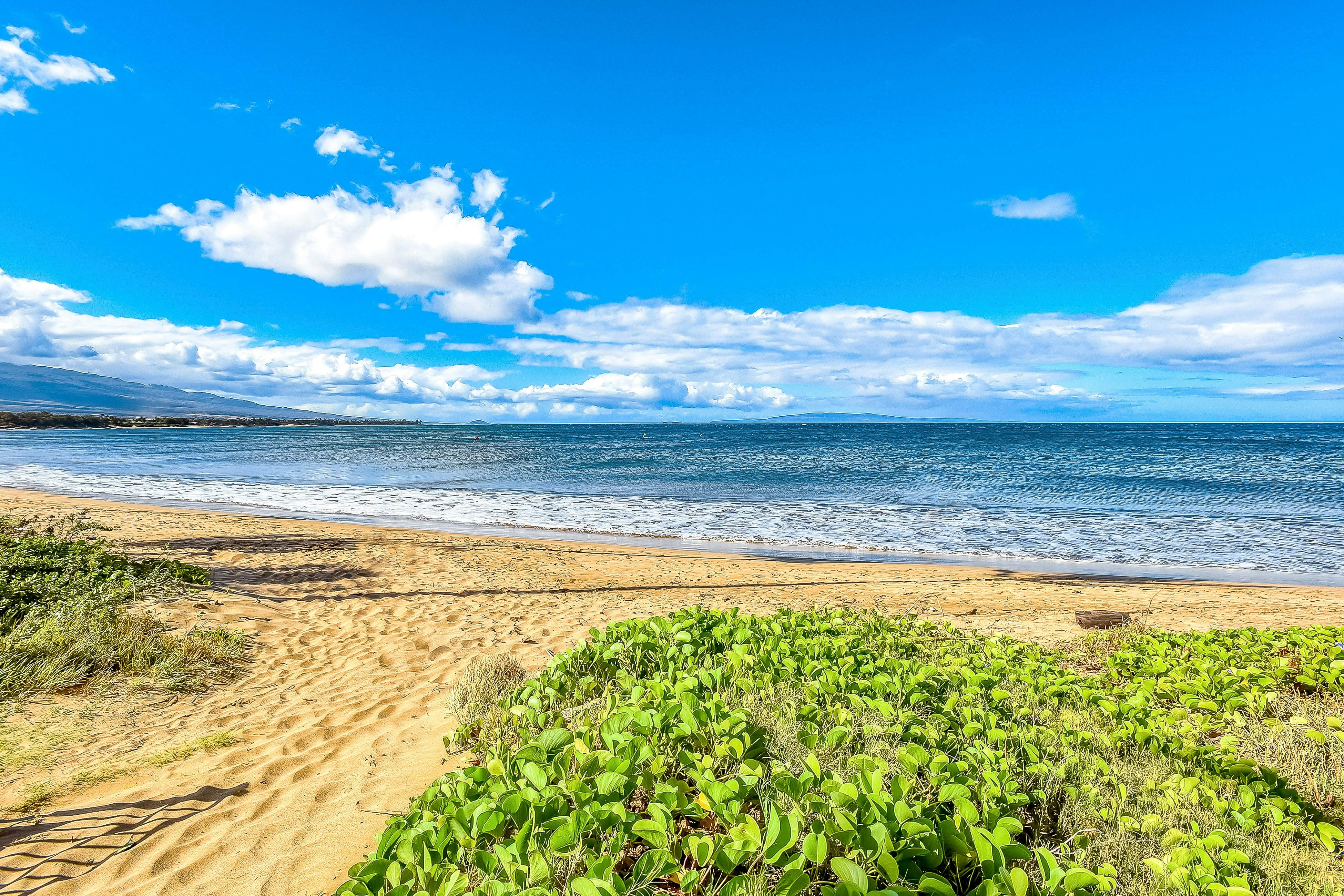 Sugar Beach Resort  523