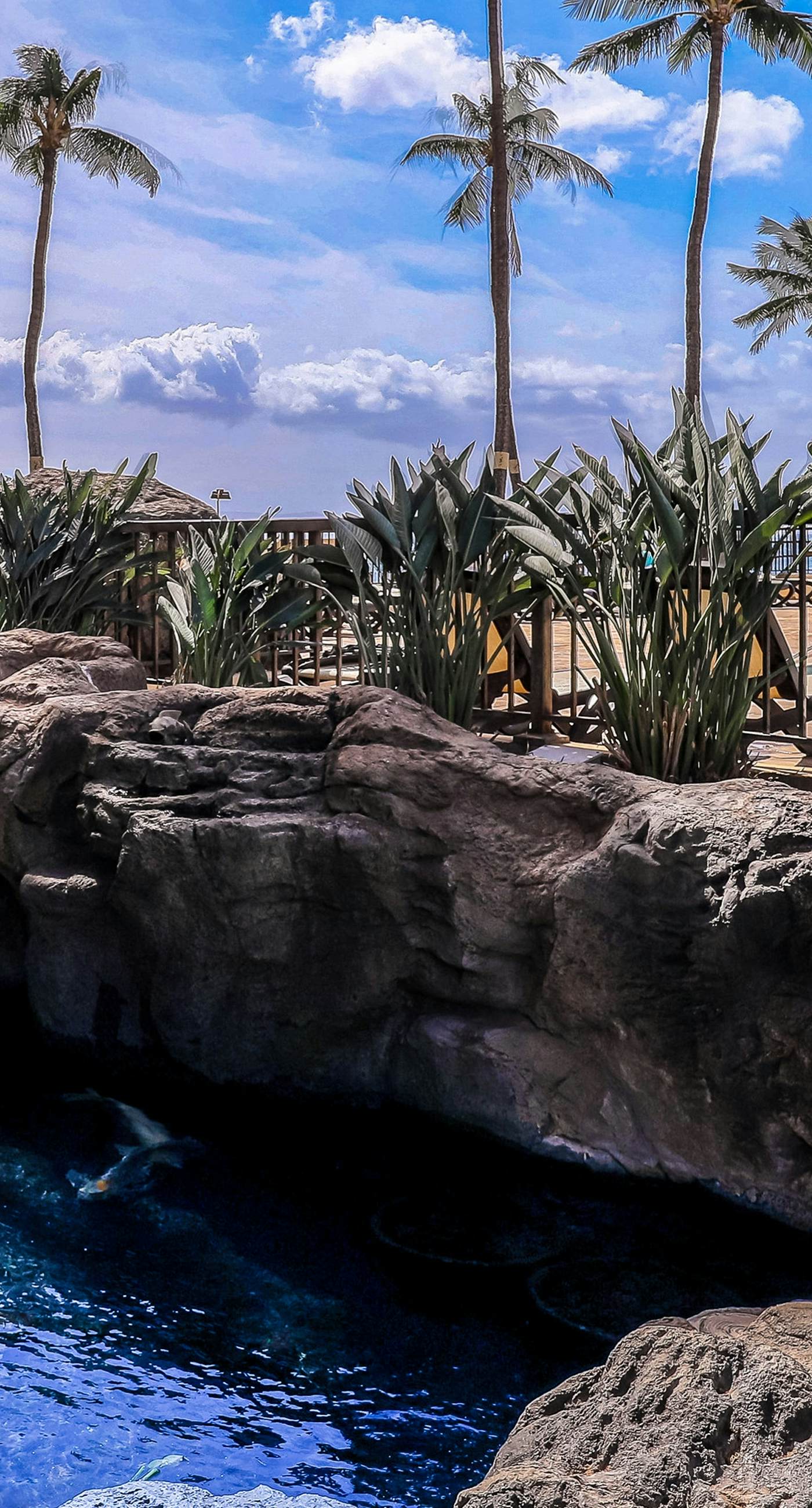 Sugar Beach Resort 332