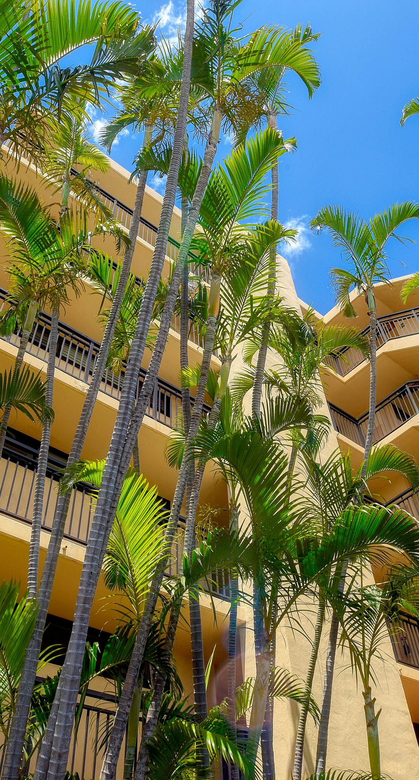 Sugar Beach Resort 332